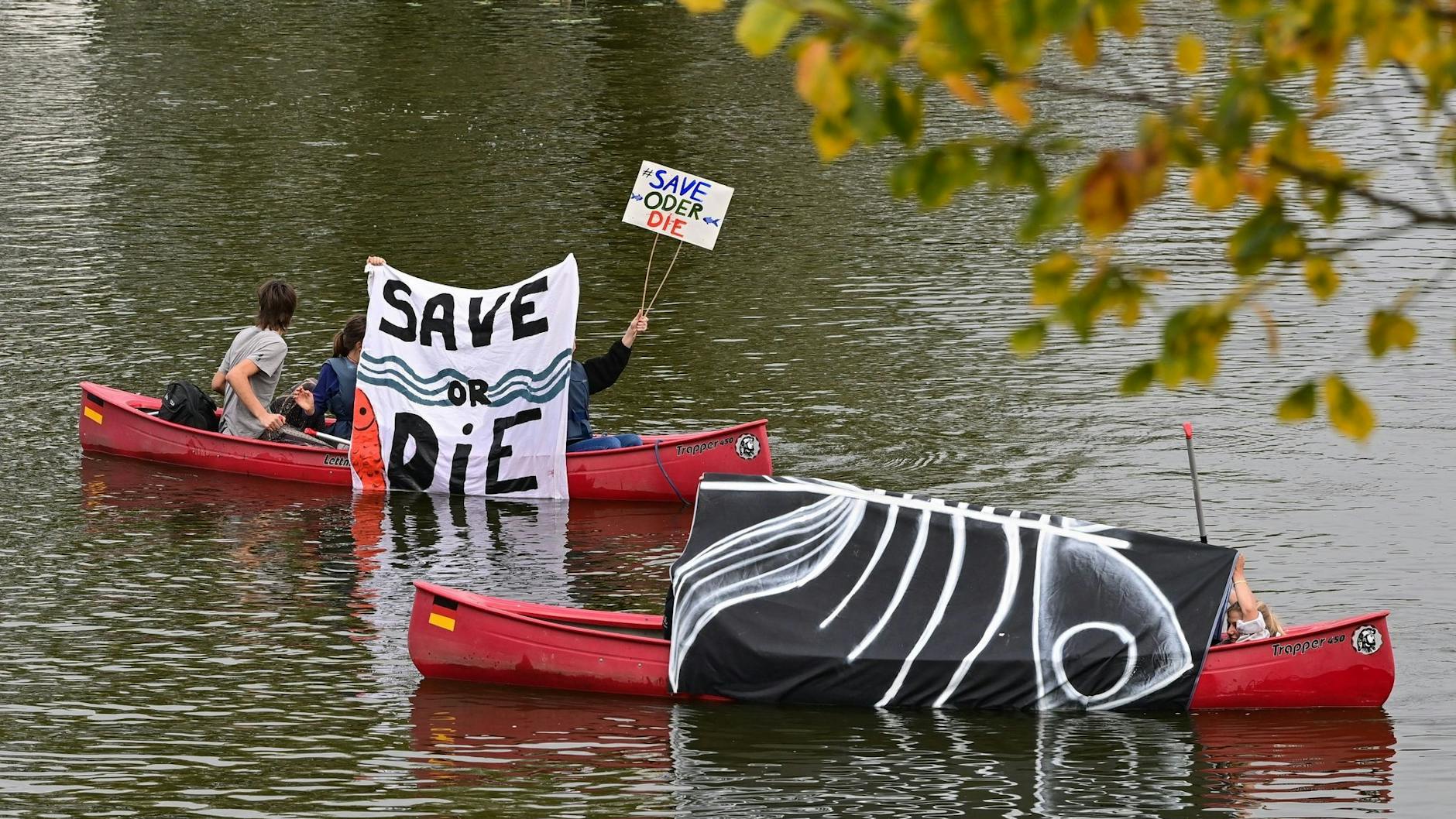 Save or Die: Jüngst war es in der Oder zu einem massenhaften Fischsterben kommen - die Umweltkatastrophe hatte zu Unstimmigkeiten zwischen Deutschland und Polen geführt. Auf deutscher Seite mehren sich Stimmen gegen einen weiteren Ausbau der Oder. 