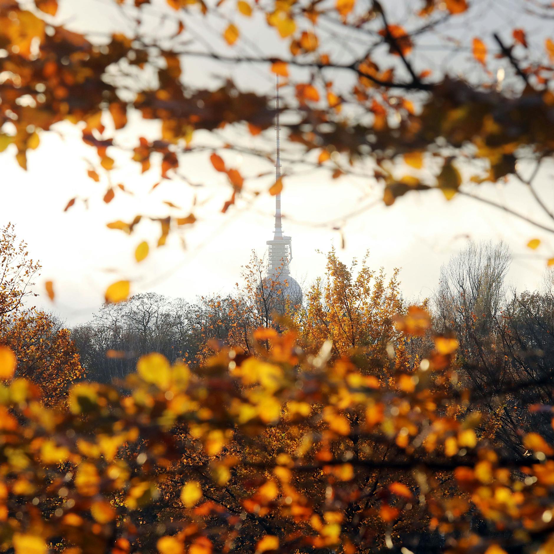 Corona, Mindestlohn, Gaspreise: Das müssen Verbraucher im Oktober wissen