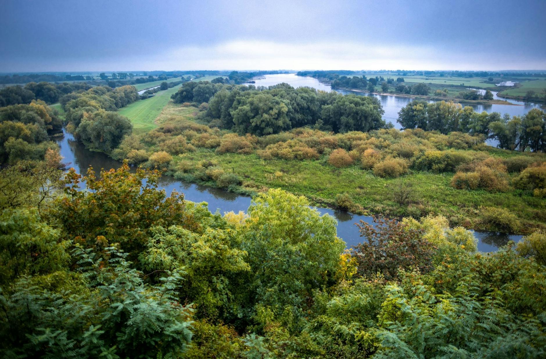 ARCHIV - Biosphärenreservat Flusslandschaft Elbe.