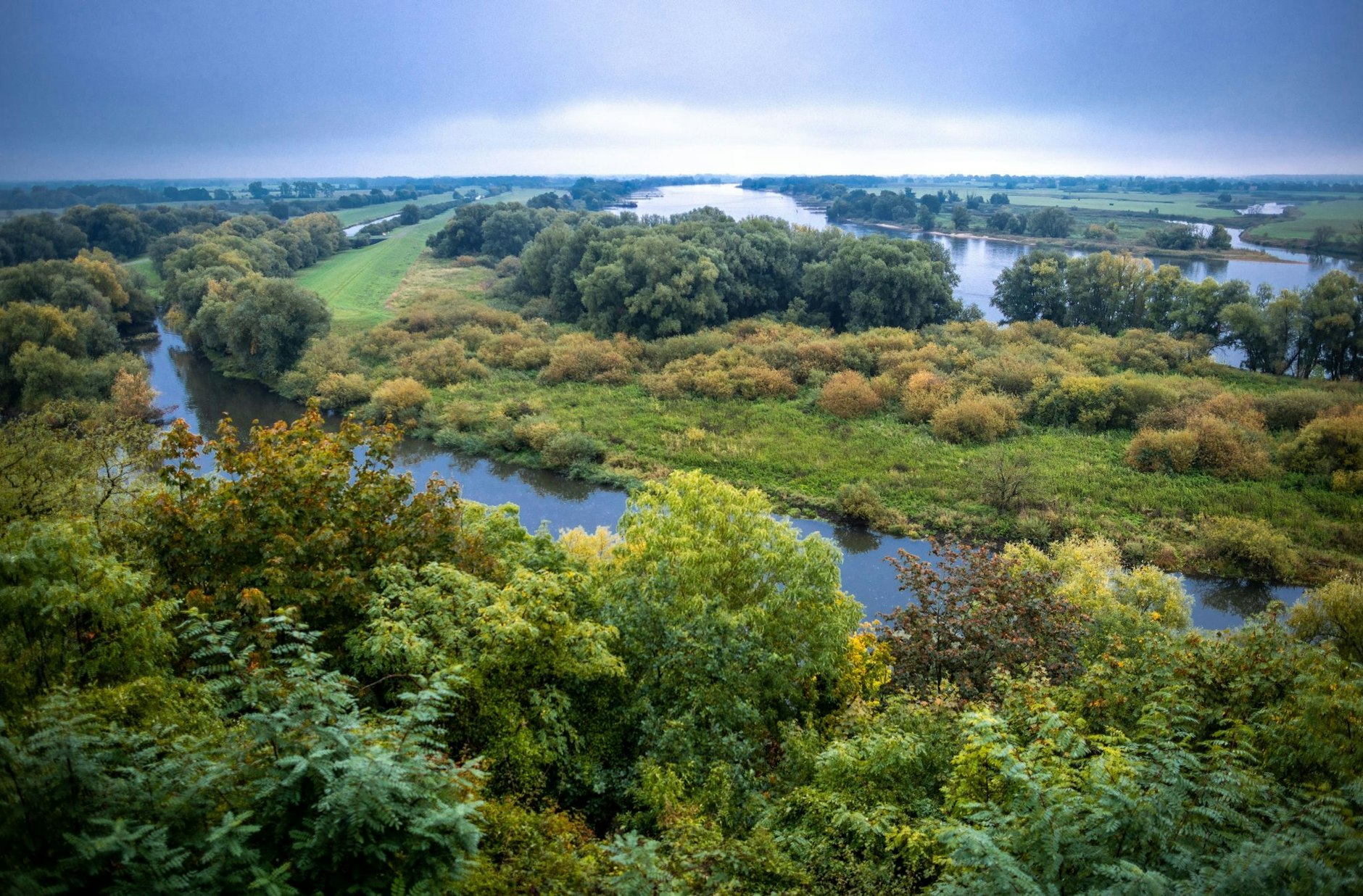ARCHIV - Biosphärenreservat Flusslandschaft Elbe.  