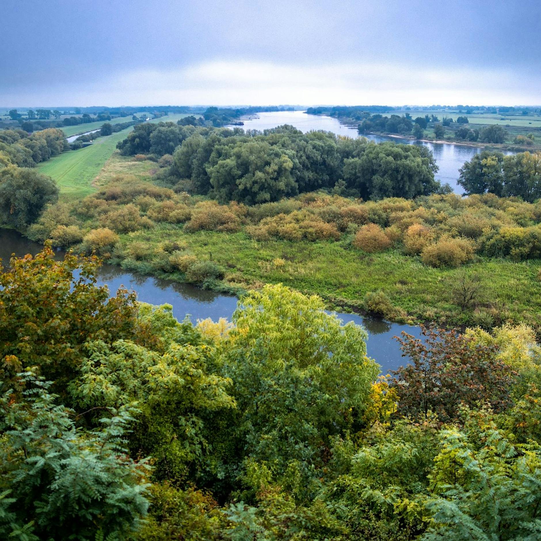 Reservat Elbe-Flusslandschaft: „Hotspot der Artenvielfalt“