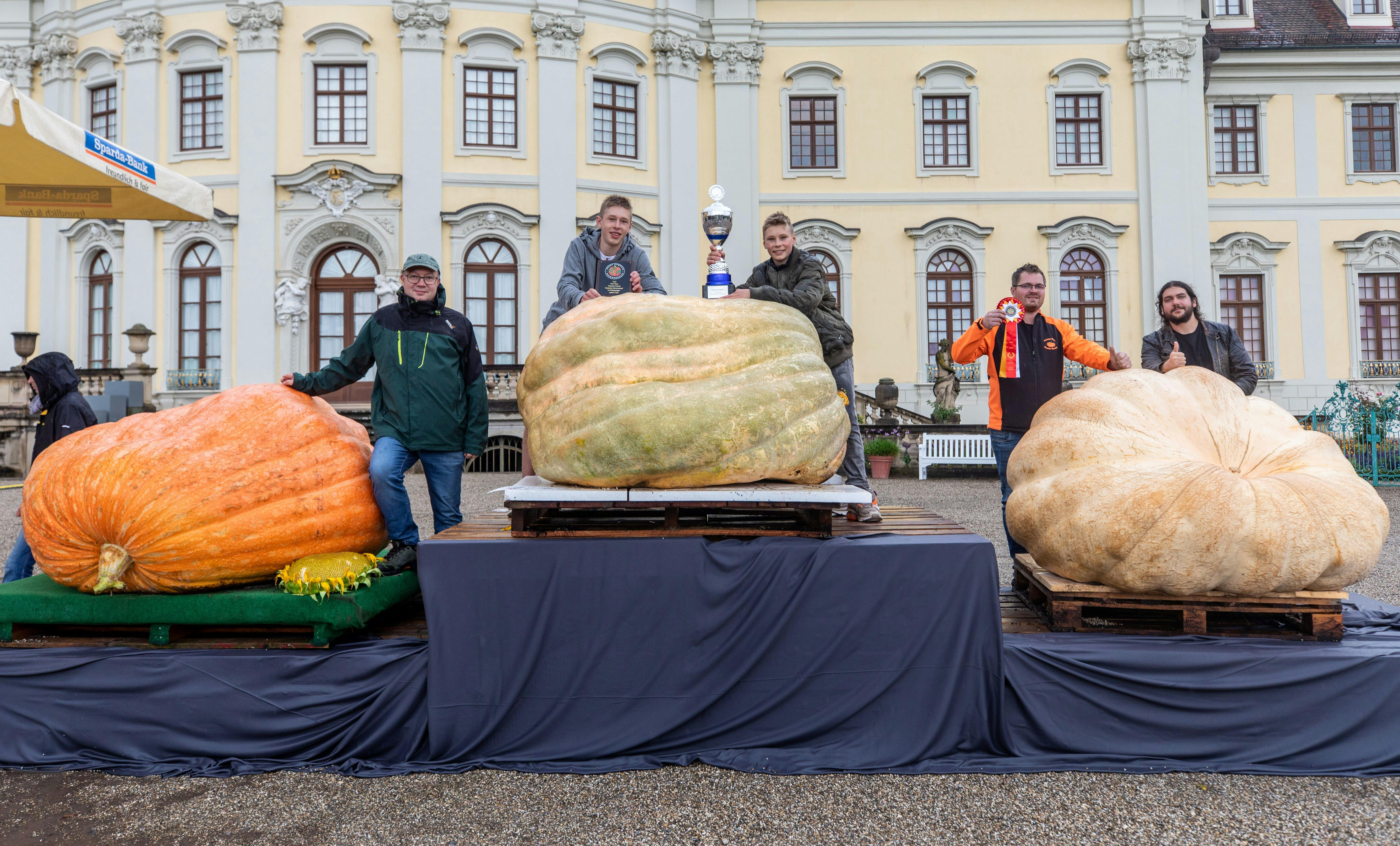 Schwerster Kürbis Deutschlands wiegt 796 Kilogramm