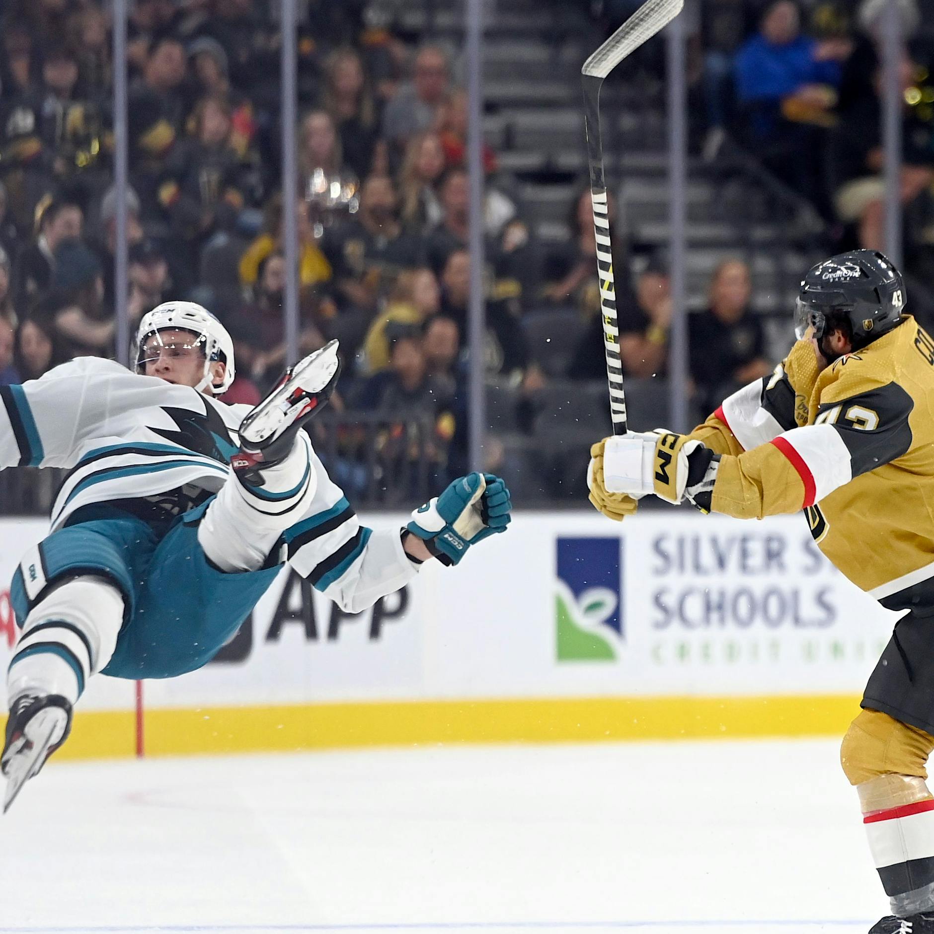 Zwischen DEL und Champions League: Eisbären Berlin feiern Eishockey-Festtag