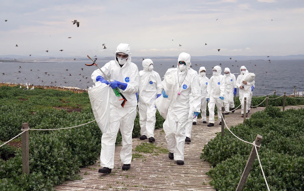 EU-Behörde: Befinden uns in Europas schwerster Vogelgrippe-Epidemie