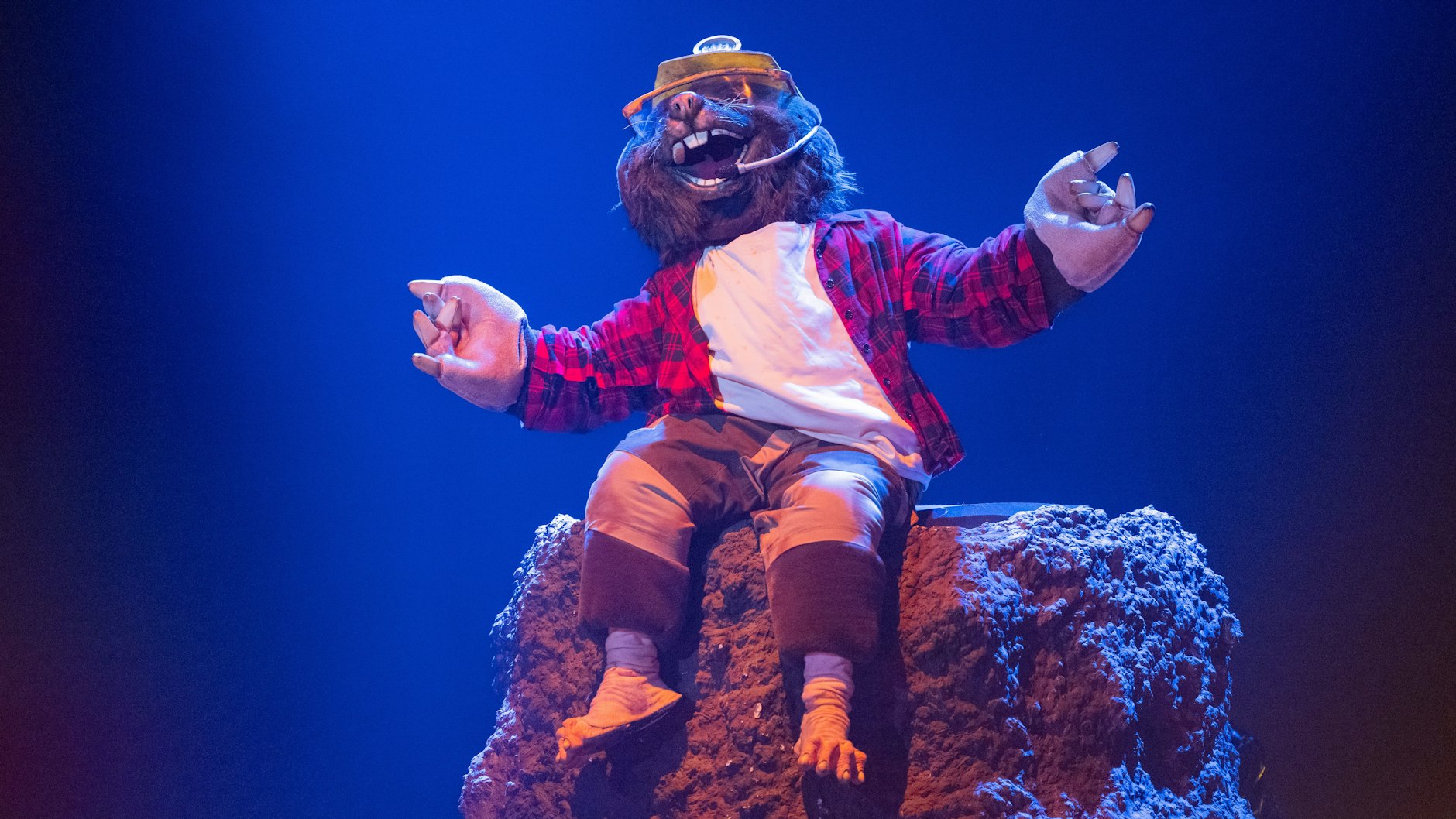 The Masked Singer: Die Fans sind ziemlich sicher, wer unter dem Maulwurf steckt. 