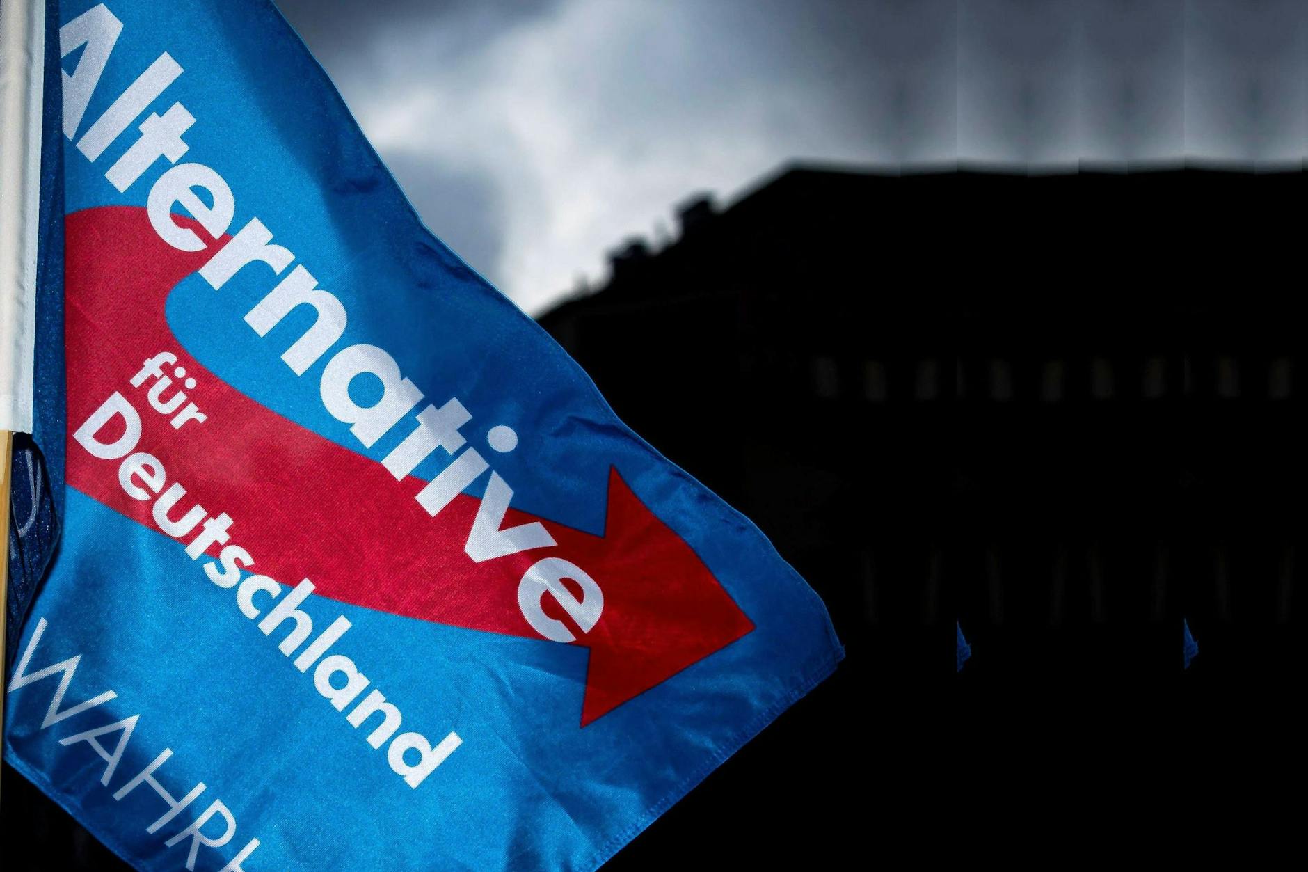 Eine Fahne der AfD. (Symbolfoto)