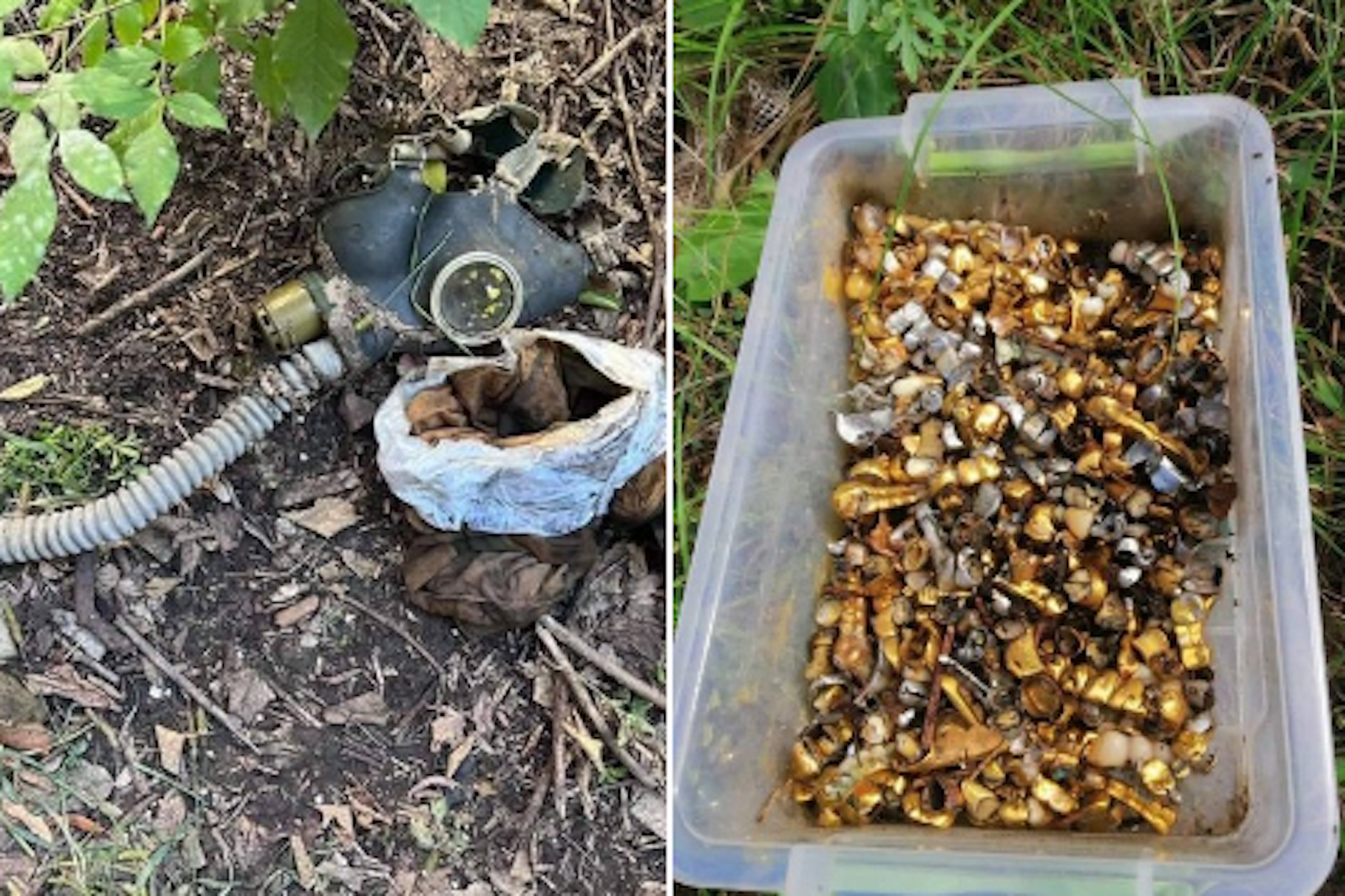 Die vom ukrainischen Verteidigungsministerium auf Twitter veröffentlichten Fotos zeigen die Kiste voller Goldzähne.