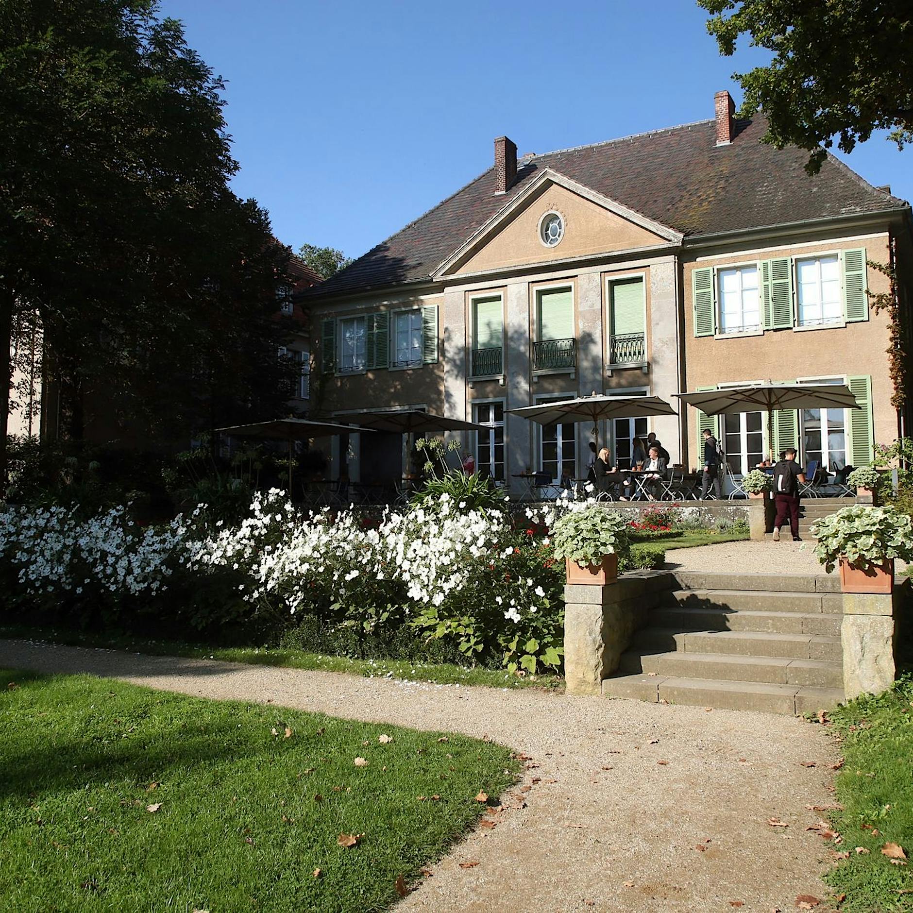 Liebermanns Rosen in Villa am Wannsee vor neuer Blüte