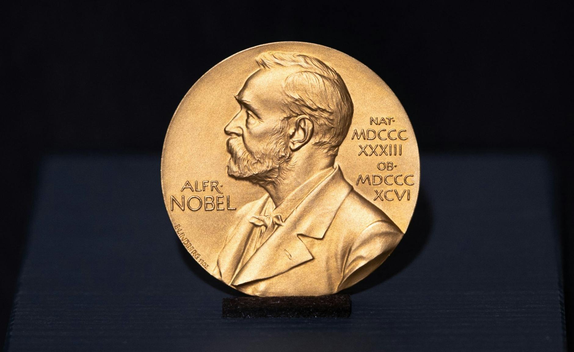 ARCHIV - Die Literatur-Nobelpreis-Medaille ist im Günter Grass-Haus ausgestellt. (Archivbild)