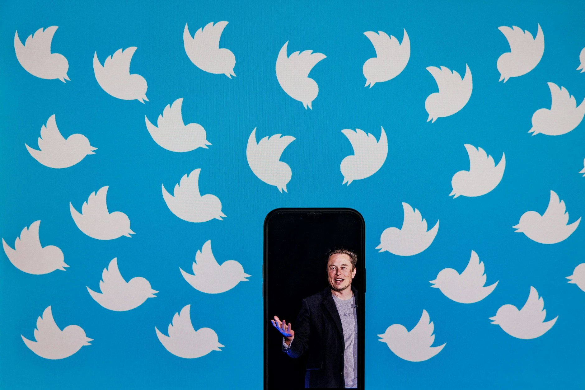 Auf diesem inszenierten Foto sind sie bereits vereint: Elon Musk und Twitter.