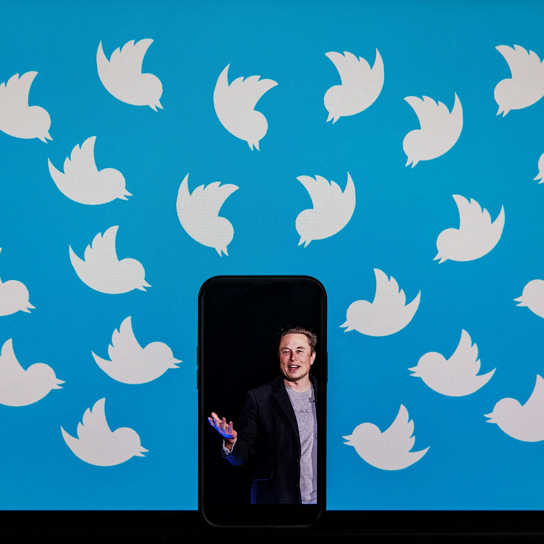 Mit Twitter wird Elon Musk endgültig zum Global Player