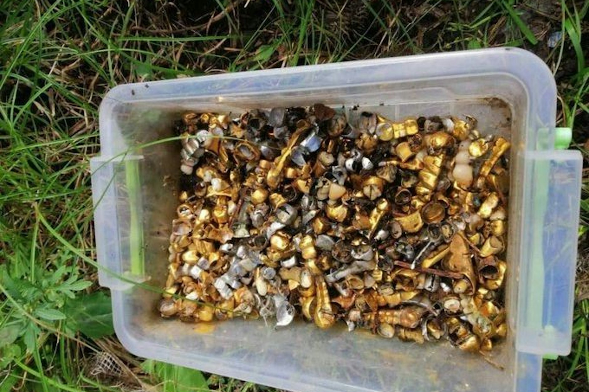 Diese Goldzähne sollen laut ukrainischem Verteidigungsministerium aus einer russischen Folterkammer in der Ukraine stammen.