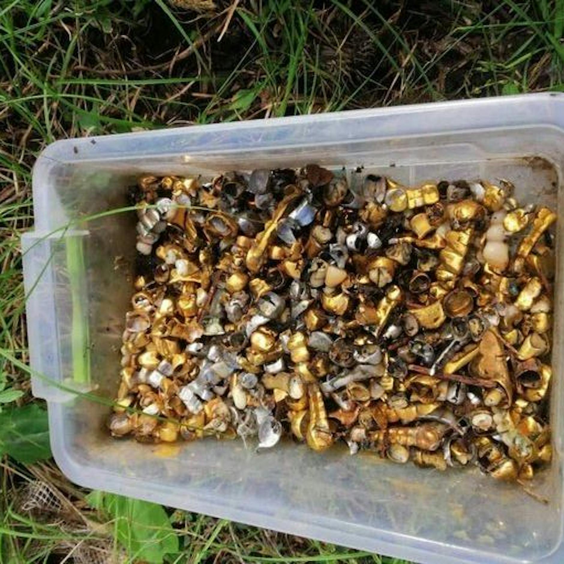 Schock-Bilder: Diese Goldzähne sollen von ukrainischen Opfern in Russen-Folterkammer stammen – aber stimmt das tatsächlich?