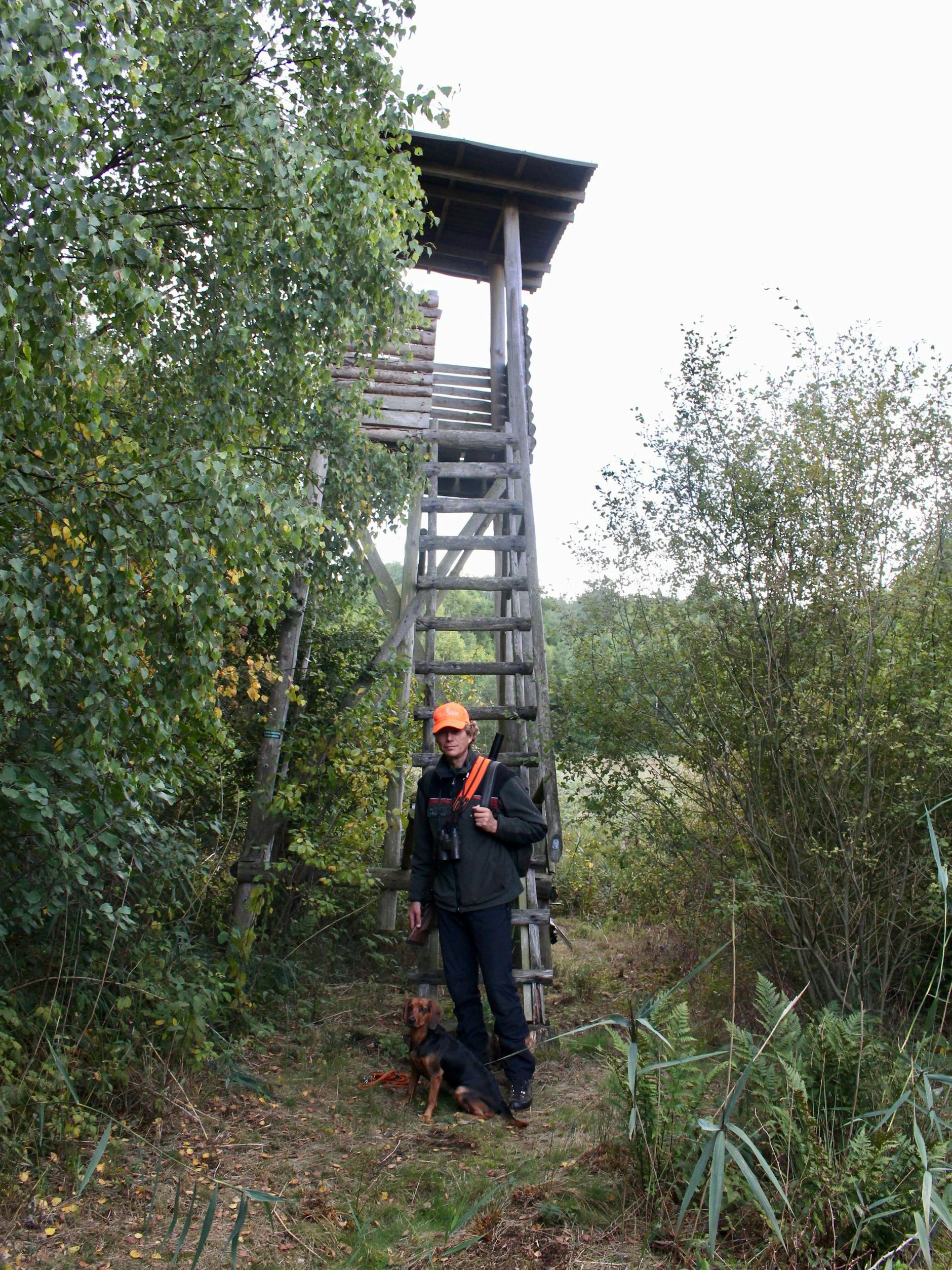 Oberförster Dietrich Mehl