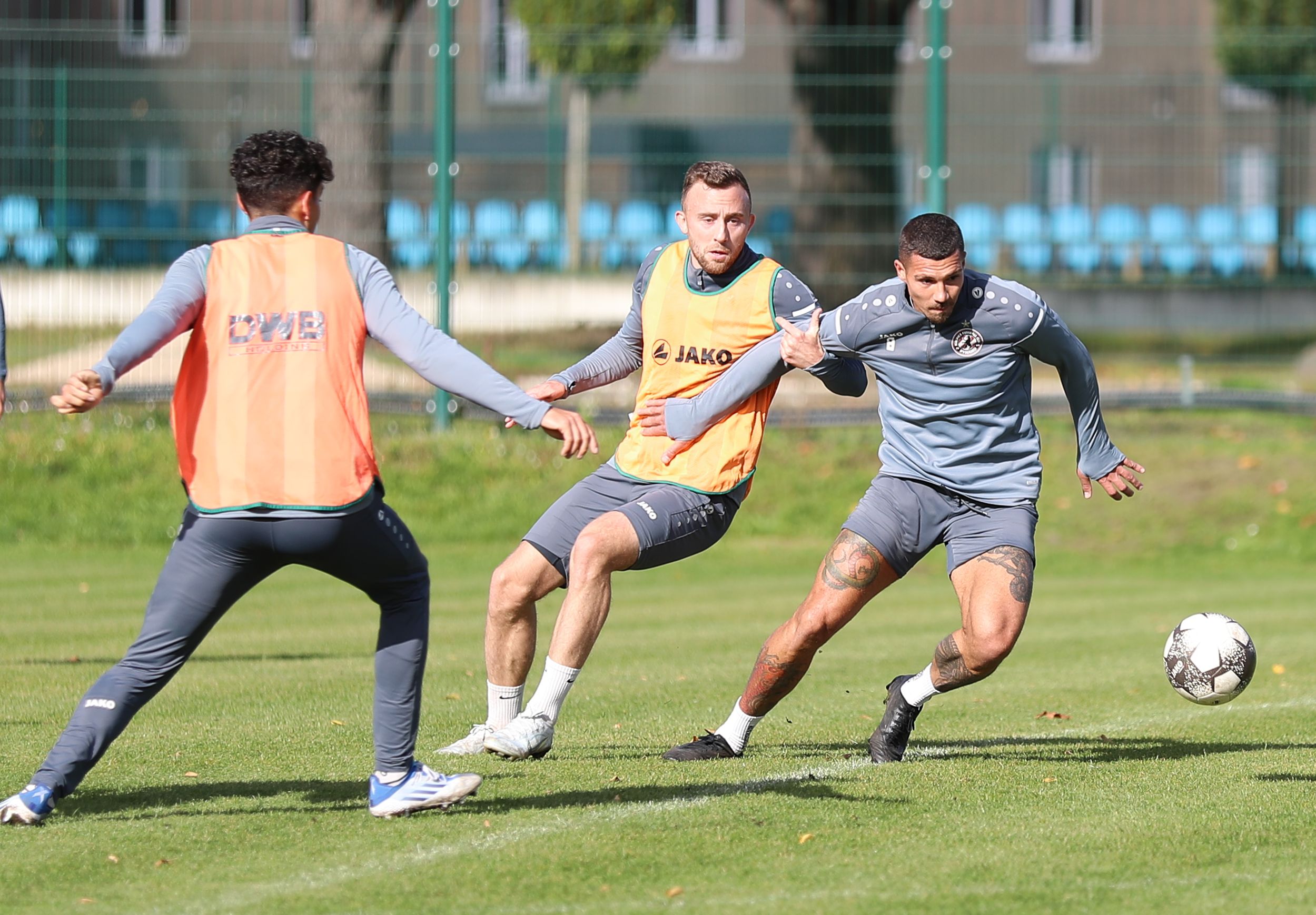 Image - BFC Dynamo: Mit Demut, Marvin Kleihs und Torhunger zum Dreier gegen Tennis Borussia