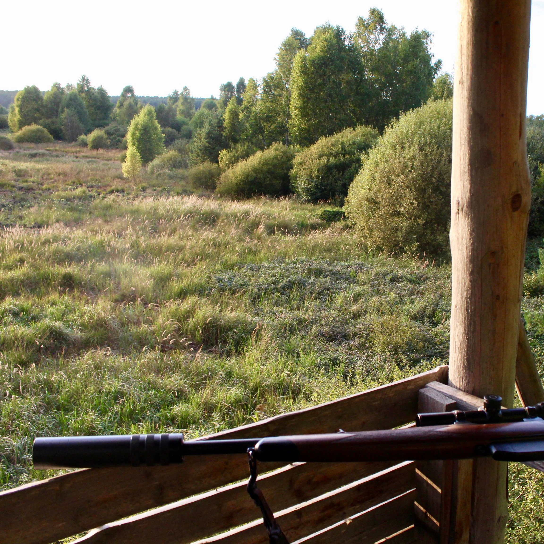 Jagen in der Schorfheide