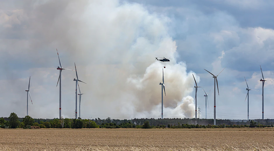 In Brandenburg kam es infolge des Dürre-Sommers in diesem Jahr zu verheerenden Waldbränden.
