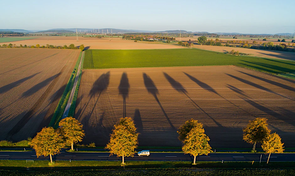 dpatopbilder - Herbstlich verfärbte Bäume in der Region Hannover werfen im Sonnenschein lange Schatten.  