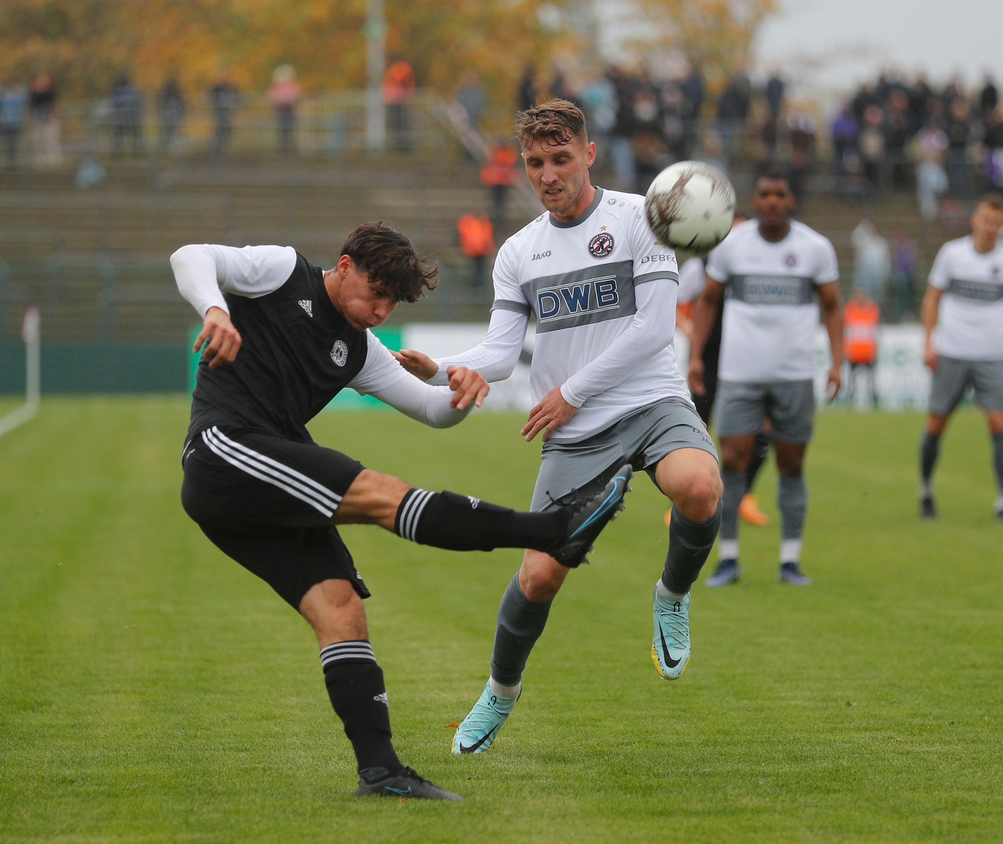 Image - BFC Dynamo: Liebesgrüße von Trainer Backhaus an Amar Suljic