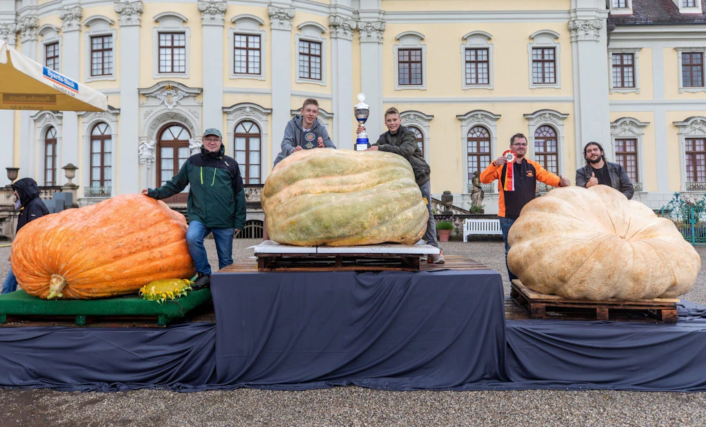 Stolze 1100,5 Kilogramm: Italiener gewinnt Kürbis-Wettbewerb