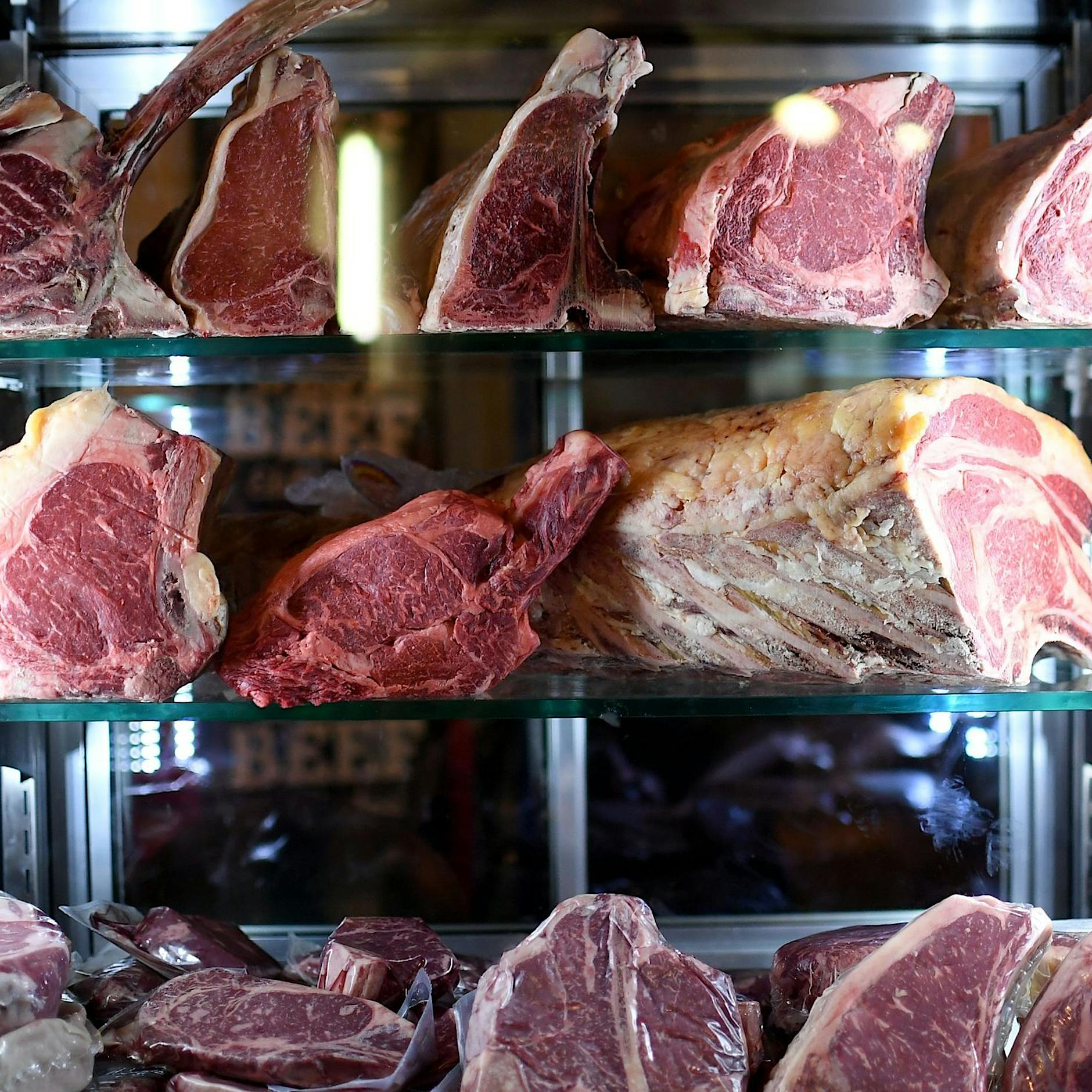 „Vom Rinde verweht“: Die Berlin Food Week beginnt