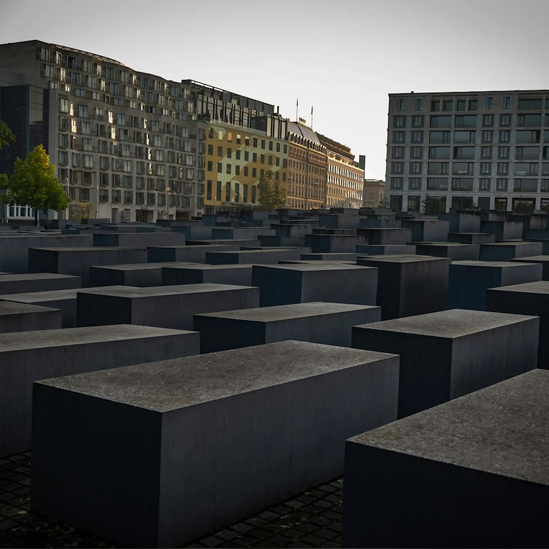 „Holen unsere Heimat zurück“: AfD-Politiker posiert auf Holocaust-Mahnmal