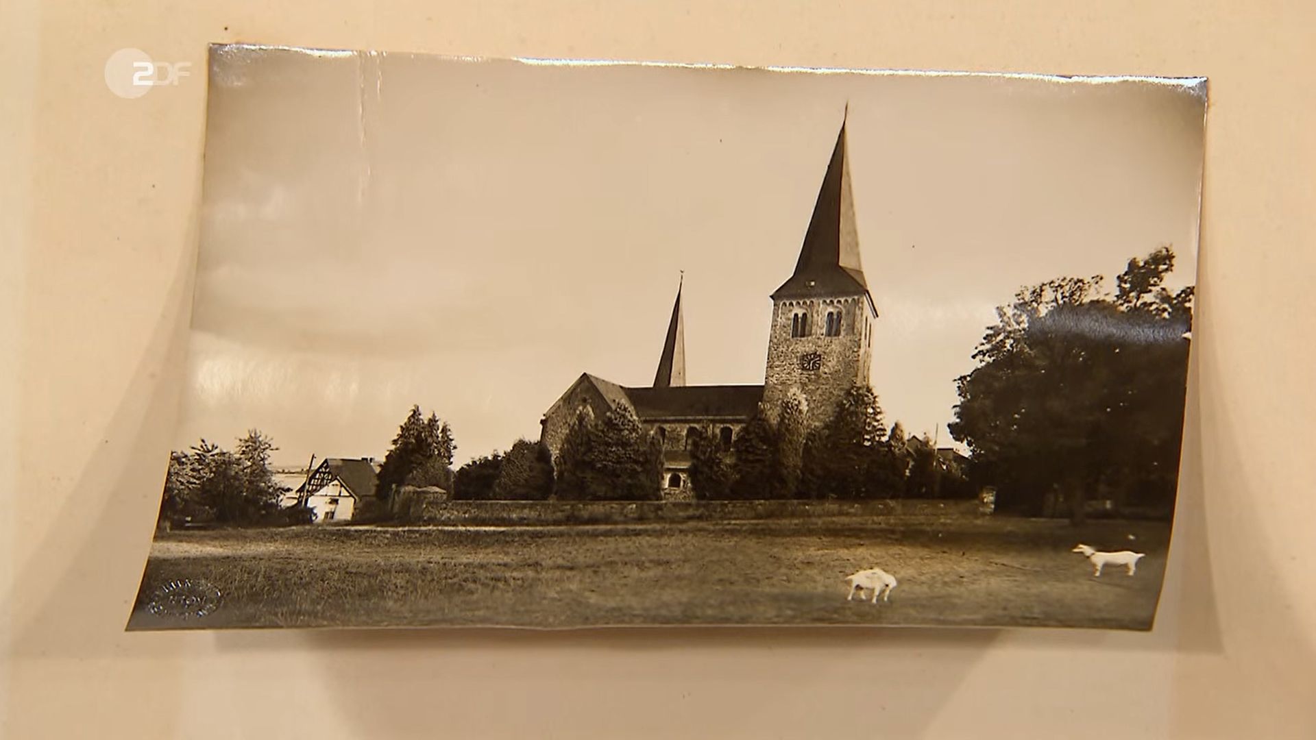 „Bares für Rares“: Preis für vergilbtes Foto haut Horst Lichter fast aus den Schuhen