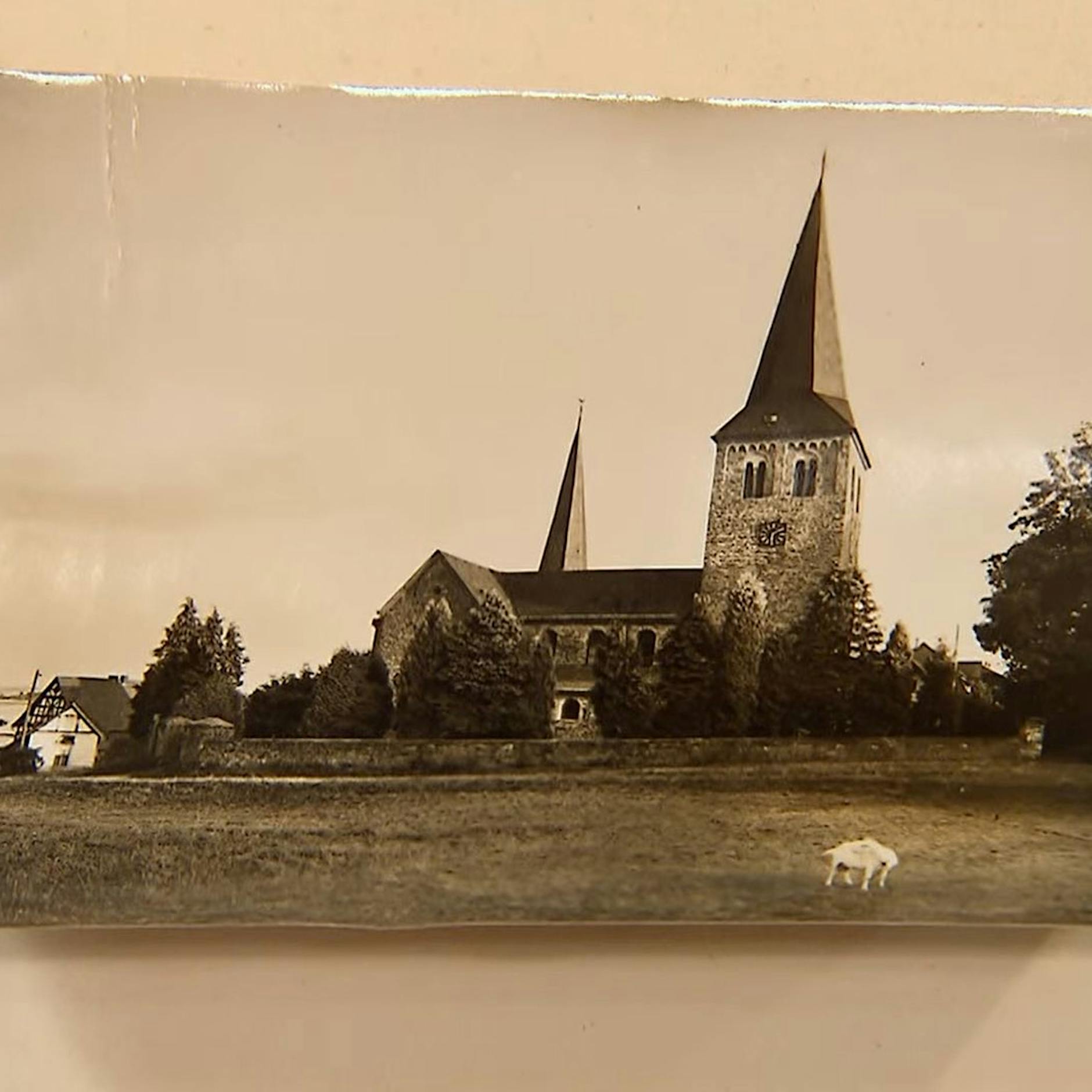 „Bares für Rares“: Preis für vergilbtes Foto haut Horst Lichter fast aus den Schuhen