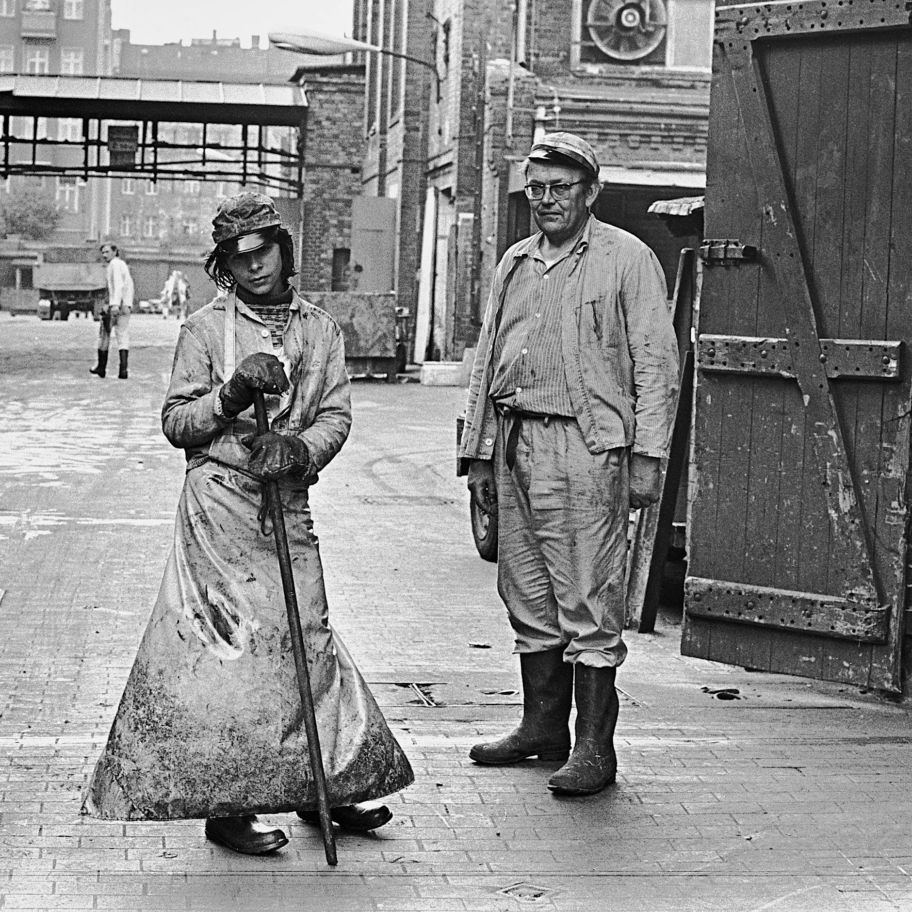 Historikerin zu Tierhaltung: „Westliche Agrarexperten waren neidisch auf die DDR“