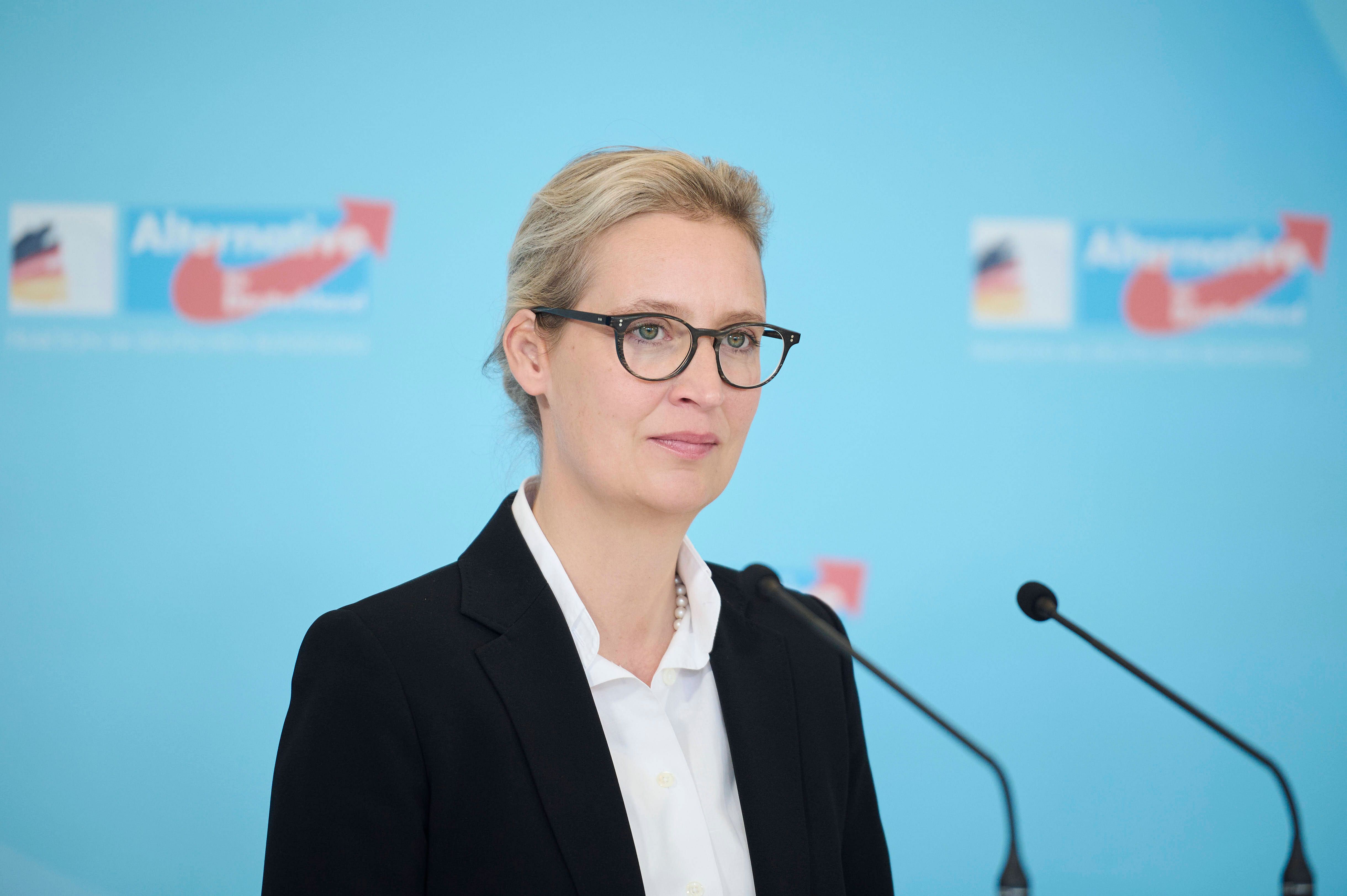 Alice Weidel: Alle News, Analysen und Berichte