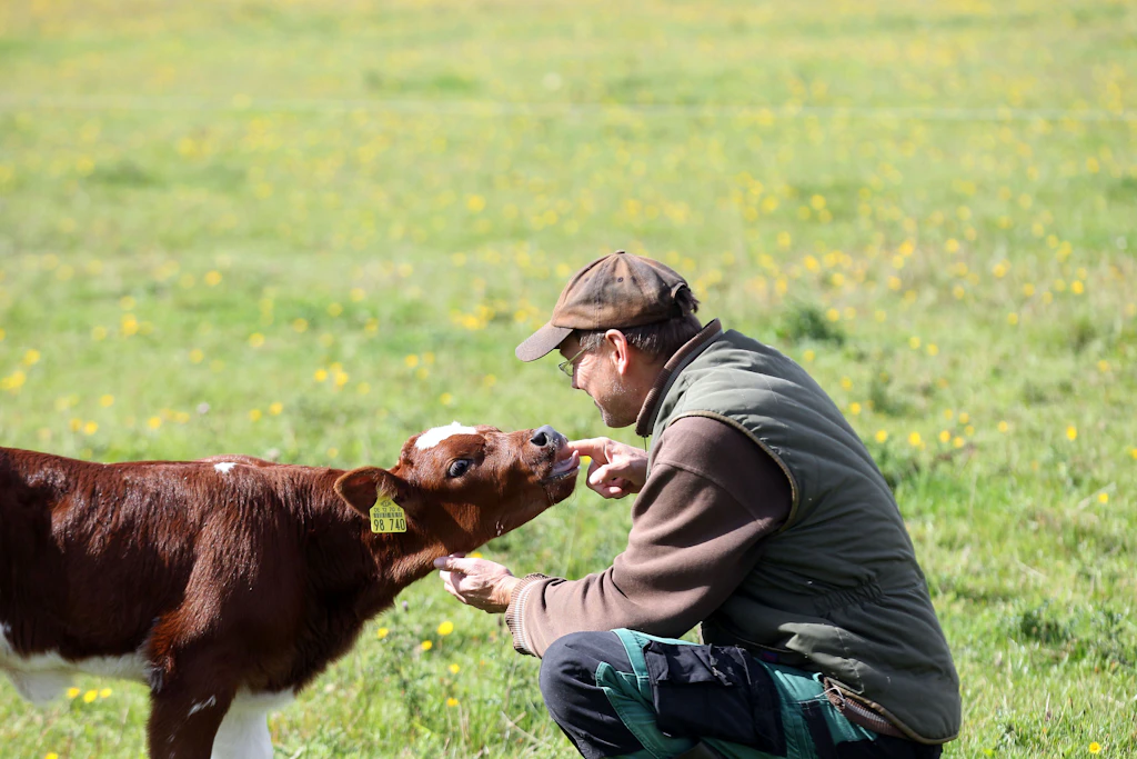 „Gutes heimisches Fleisch zu essen, ist nachhaltiger, als vegan zu sein“