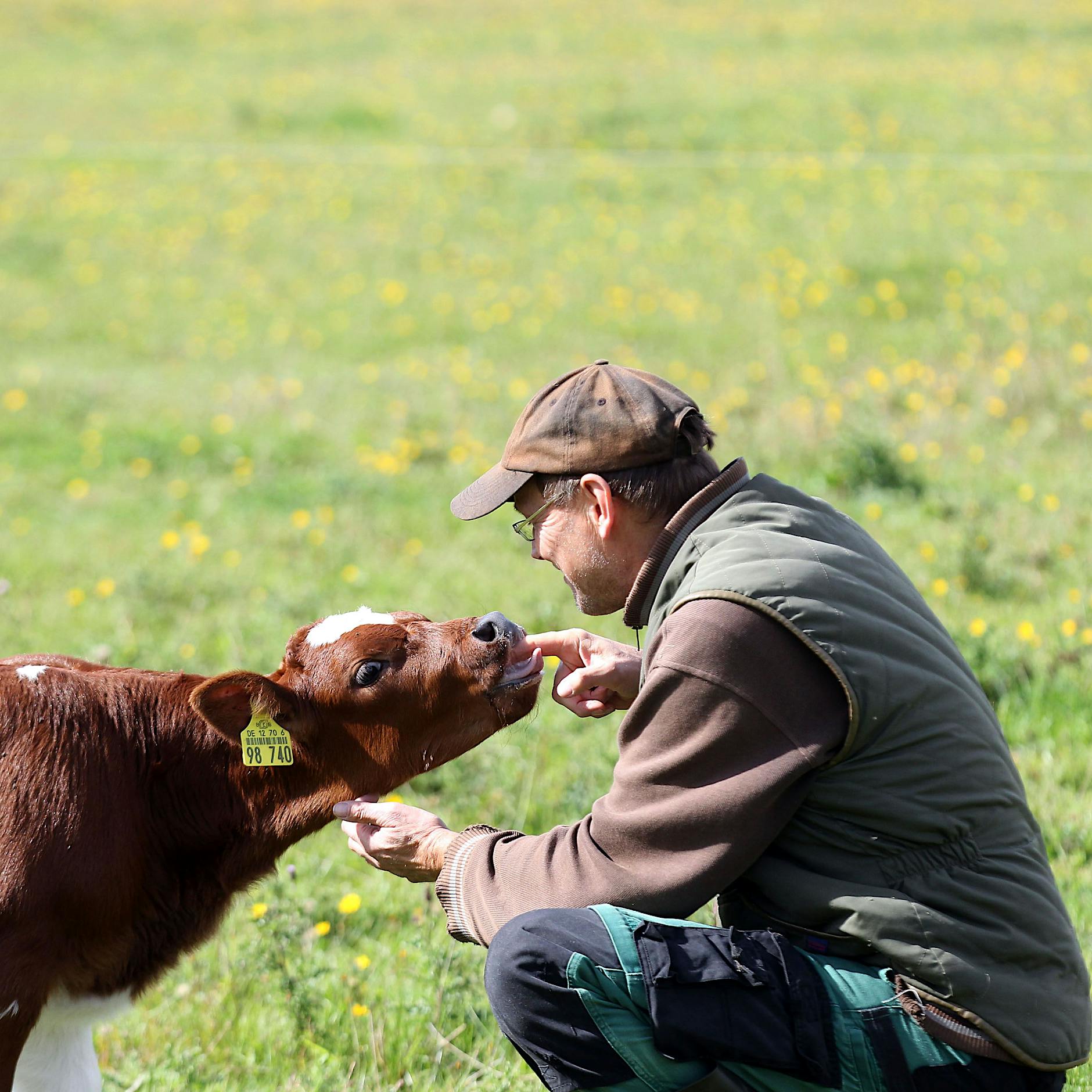 „Gutes heimisches Fleisch zu essen, ist nachhaltiger, als vegan zu sein“