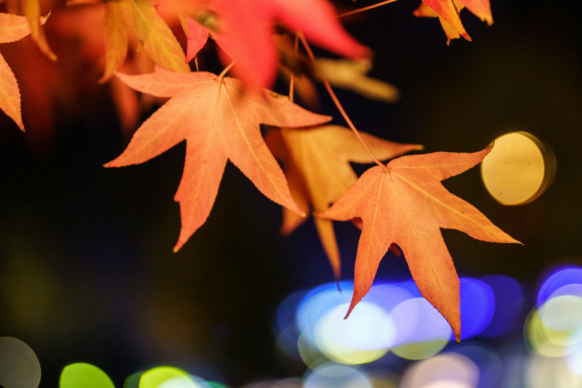 Der Herbst ist da. Nur dem Wetter hat das scheinbar noch keiner gesagt - das macht einfach im Sommermodus weiter.