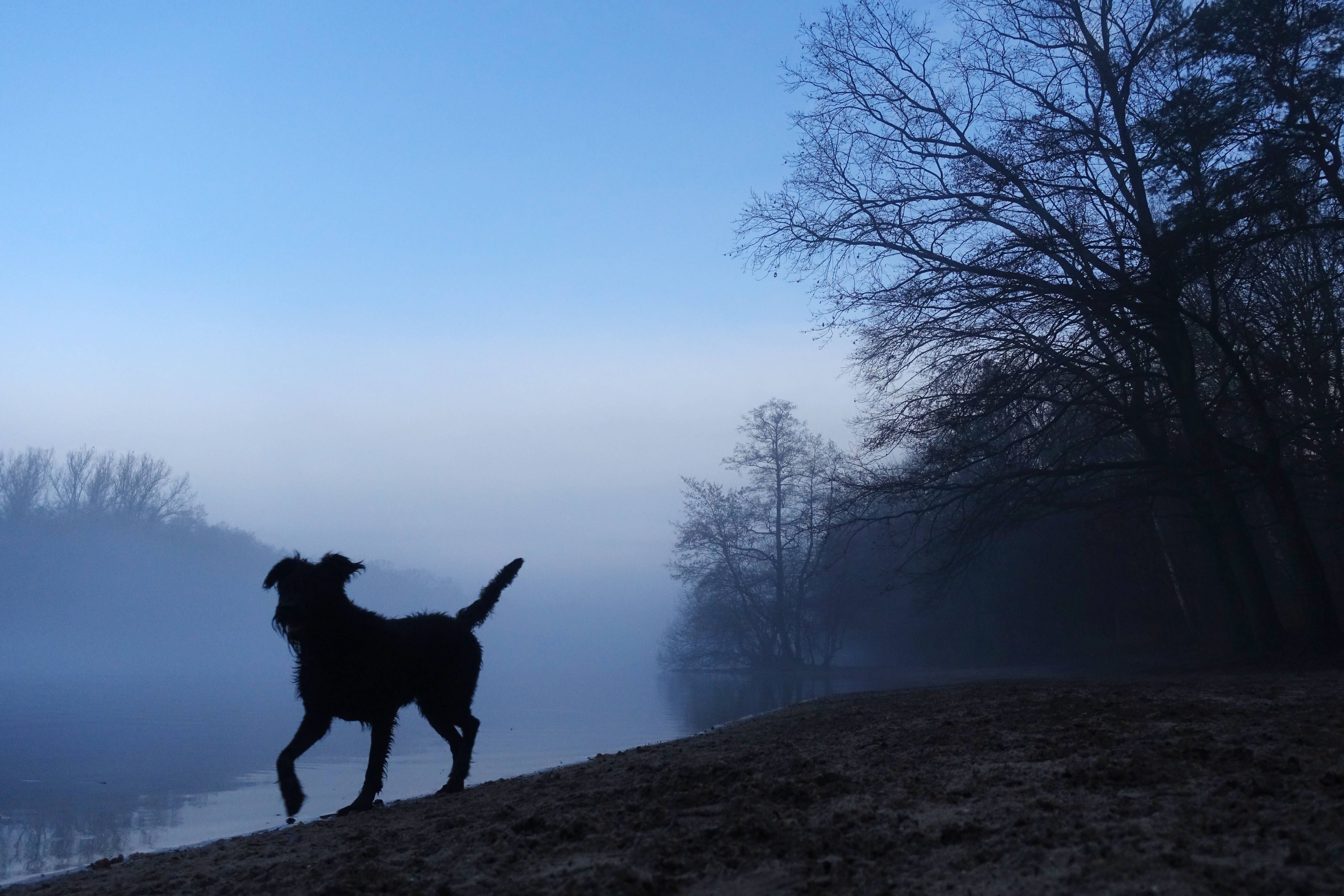 Wetter In Berlin Am Mittwoch: Nebel, Wolken Und Ein Paar Sonnenstrahlen