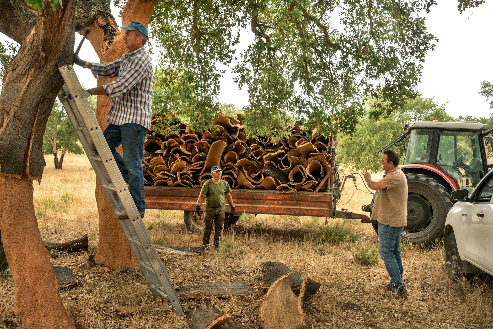 Arbeitsalltag in der Landwirtschaft.
