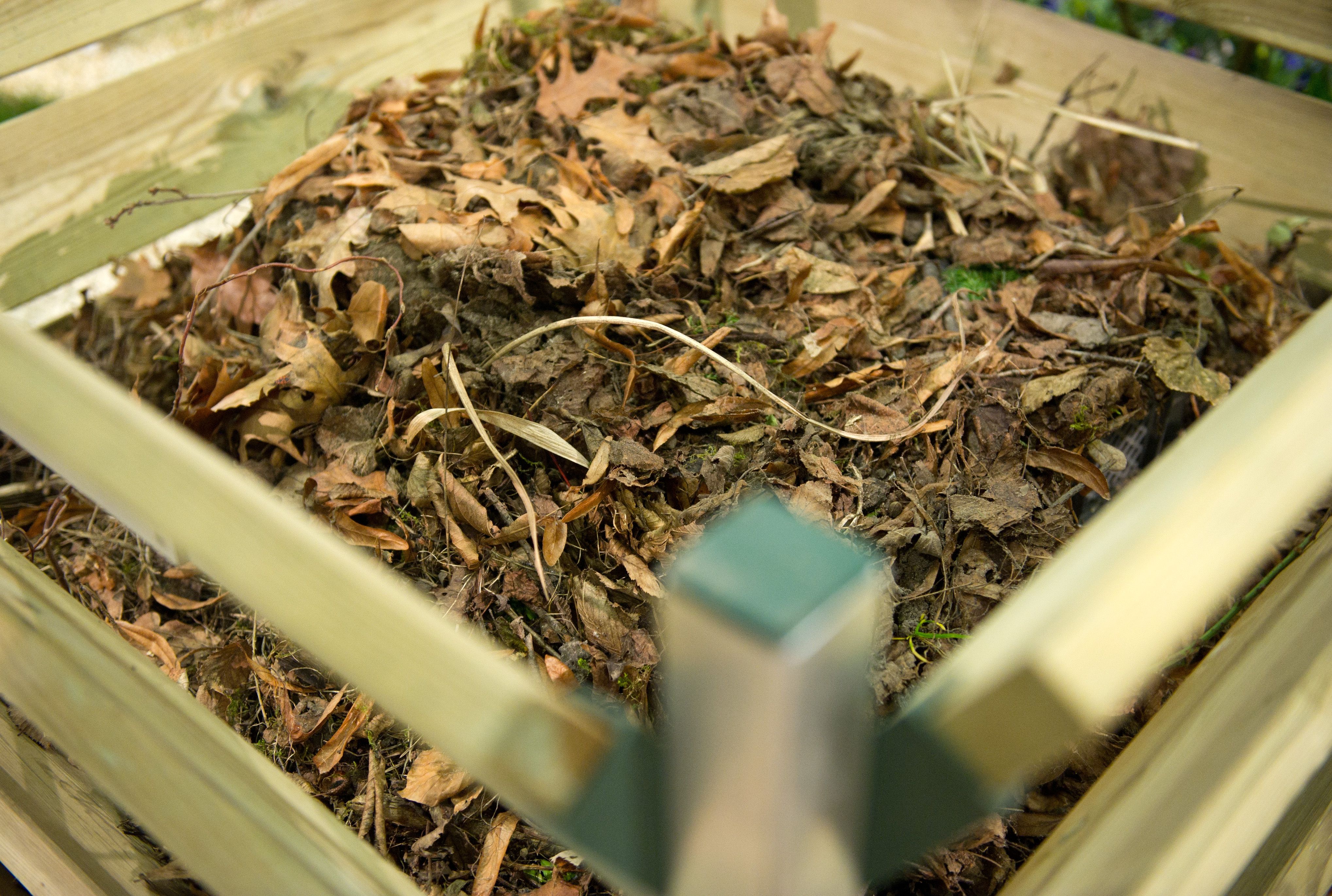 Image - Eigener Kompost ist Gold wert – so schichten Sie Gartenabfälle richtig