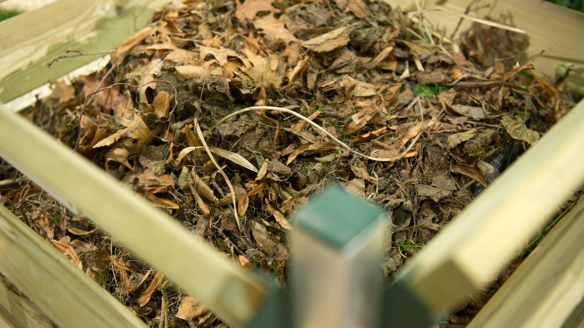 Die Mischung muss stimmen: Da Laub vergleichsweise schlecht verrottet, sollte es auf dem Kompost mit anderen Materialien geschichtet werden.