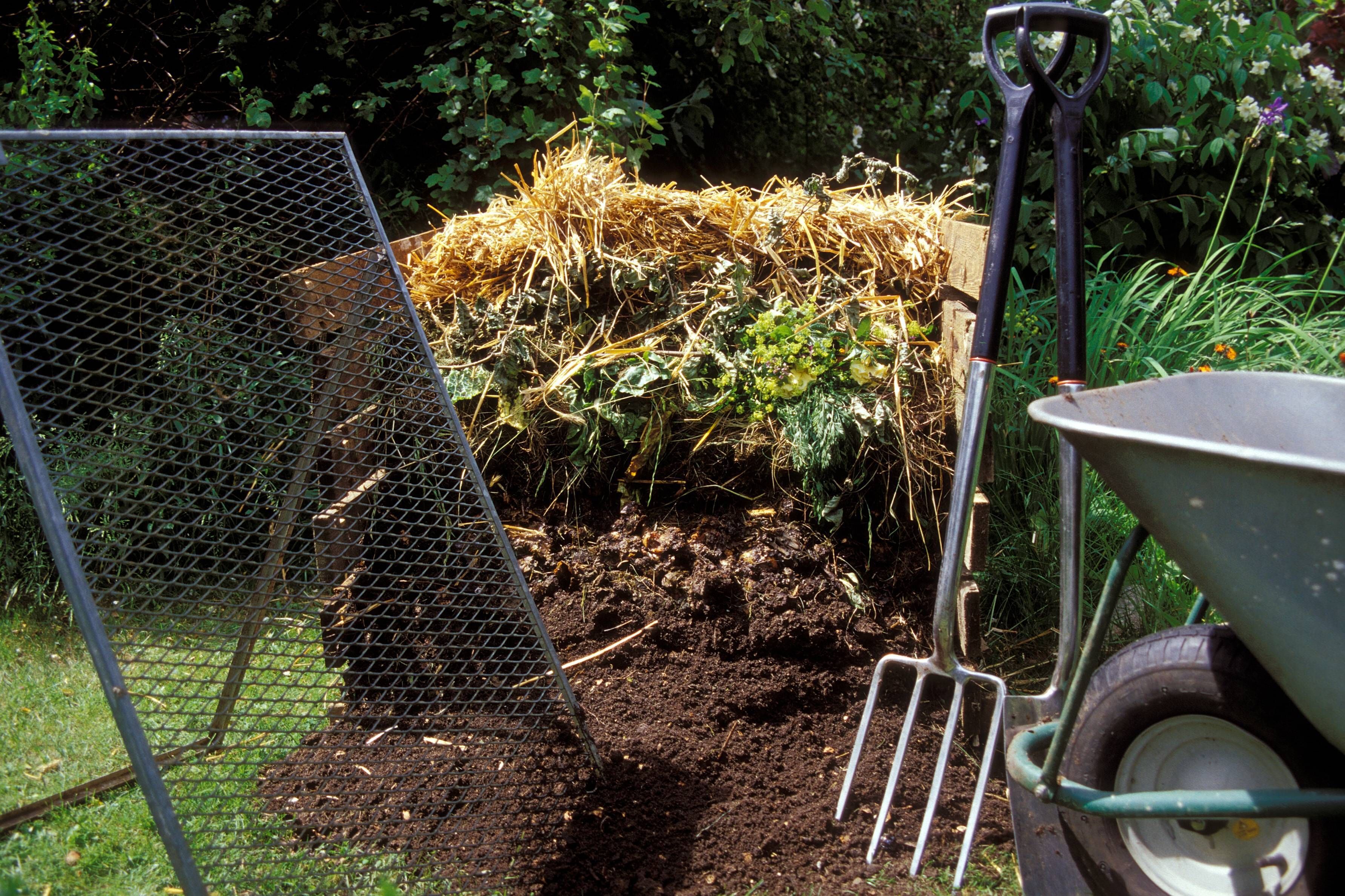 Kompost mit Laub im Herbst anlegen: Dieser Kostenlos-Trick für den Garten rettet Ihre Pflanzen