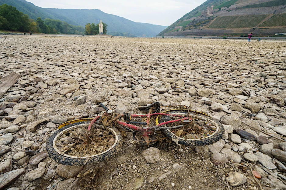 ARCHIV - Ein mit Muscheln und Algen bedecktes Kinderfahrrad liegt im weitgehend ausgetrockneten Flussbett des Rheins bei Bingen.  