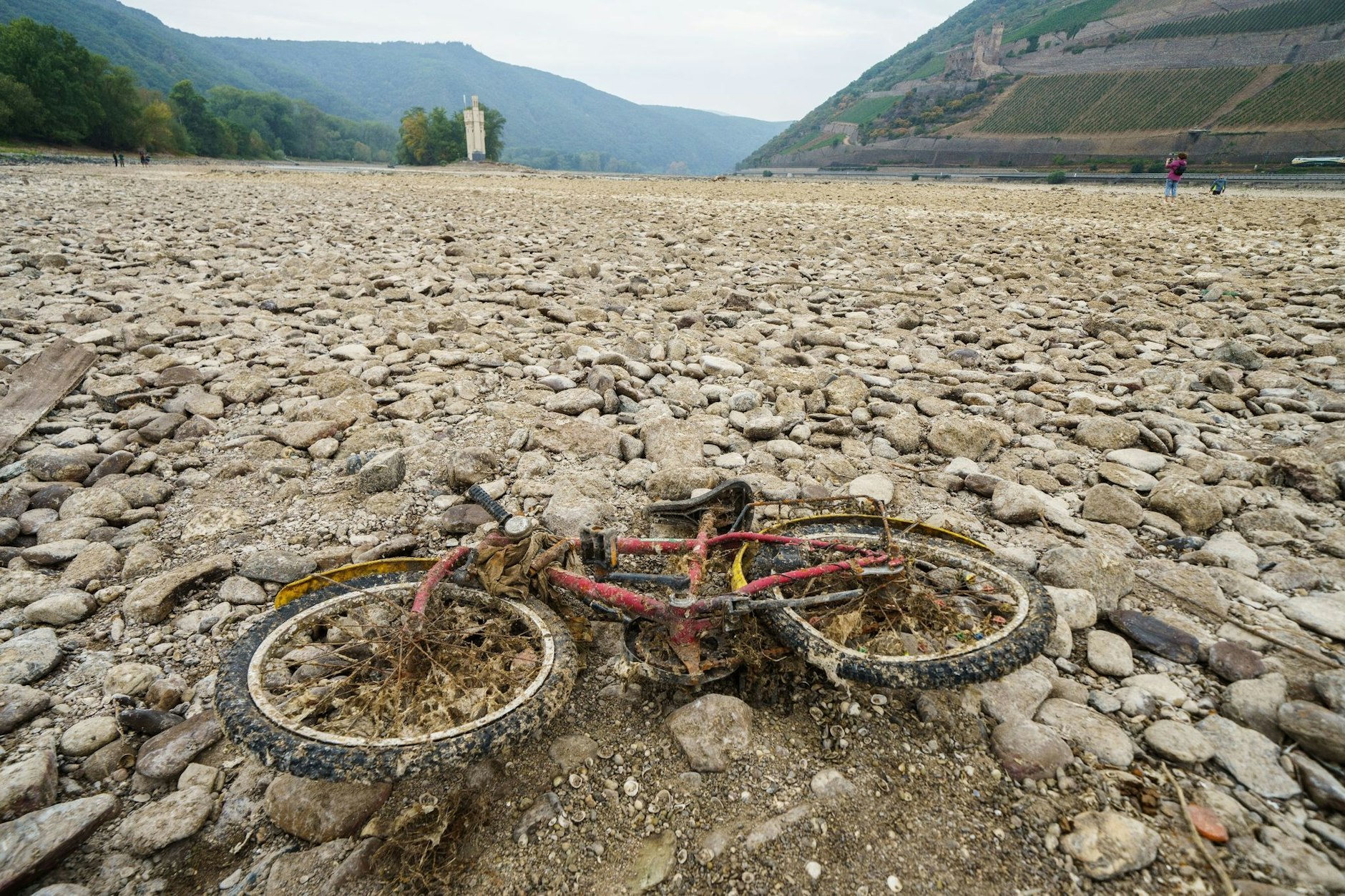 ARCHIV - Ein mit Muscheln und Algen bedecktes Kinderfahrrad liegt im weitgehend ausgetrockneten Flussbett des Rheins bei Bingen.  