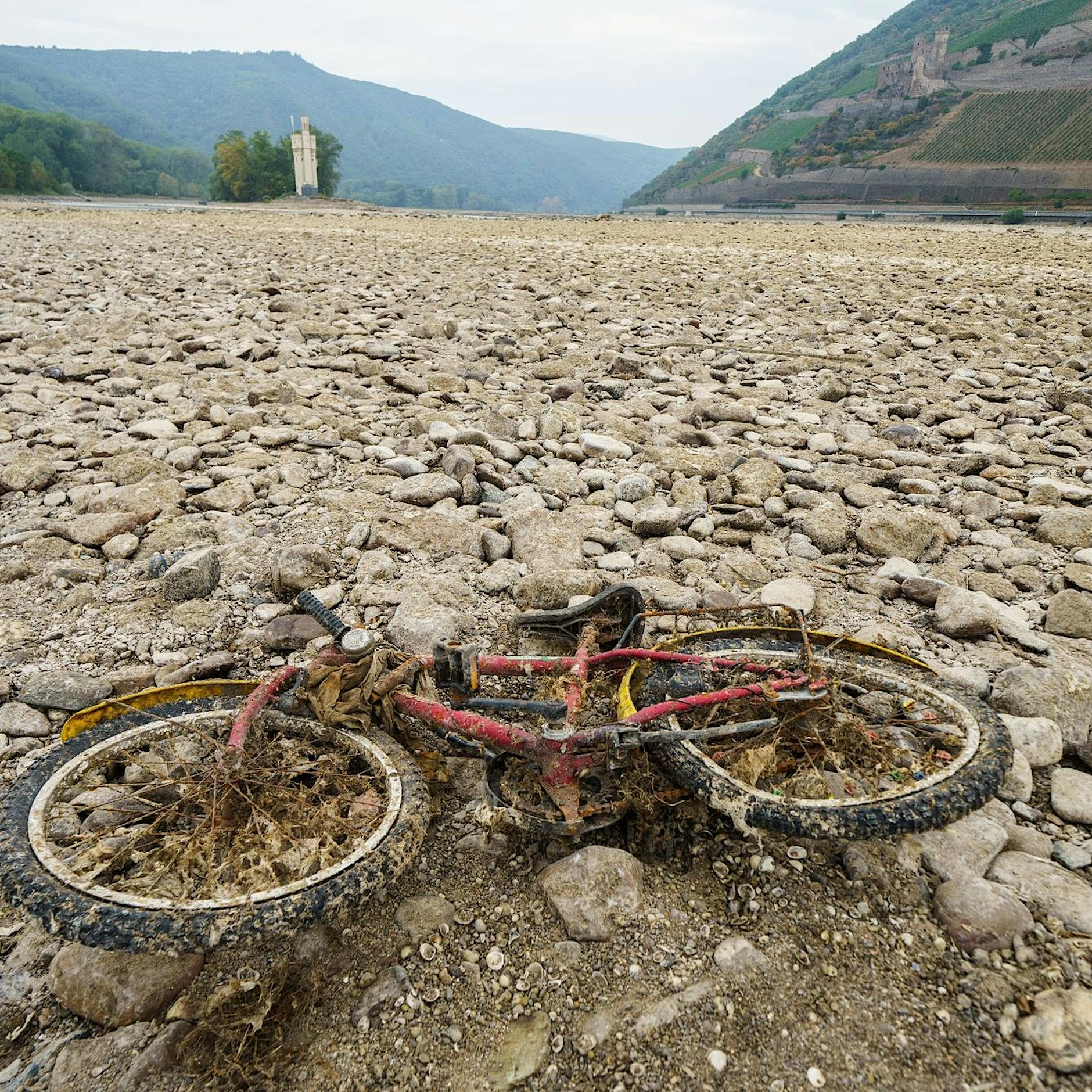 Studie: Extreme Dürre in Europa alle 20 Jahre zu erwarten