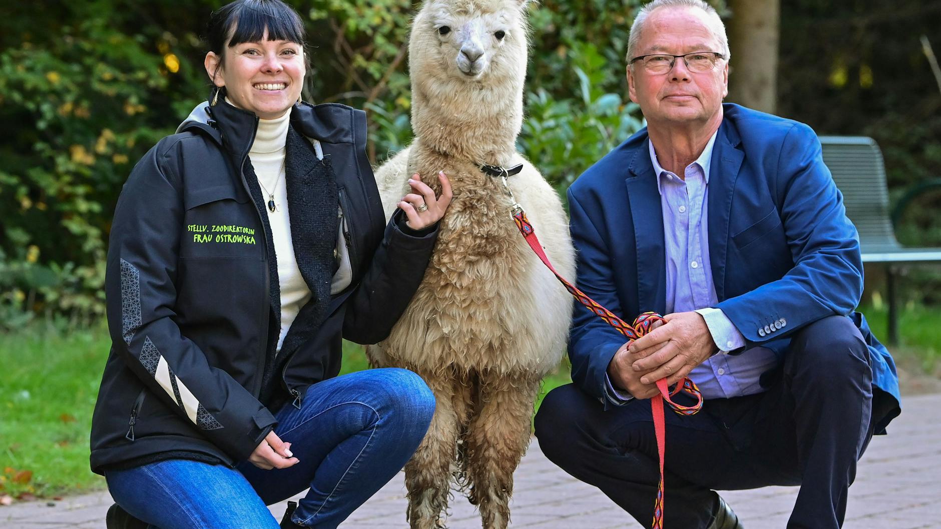 Bernd Hensch mit Paulina Ostrowska und einem Alpaka: Seine Stellvertreterin wird ab 1. Januar die Chefin vom Eberswalder Zoo.