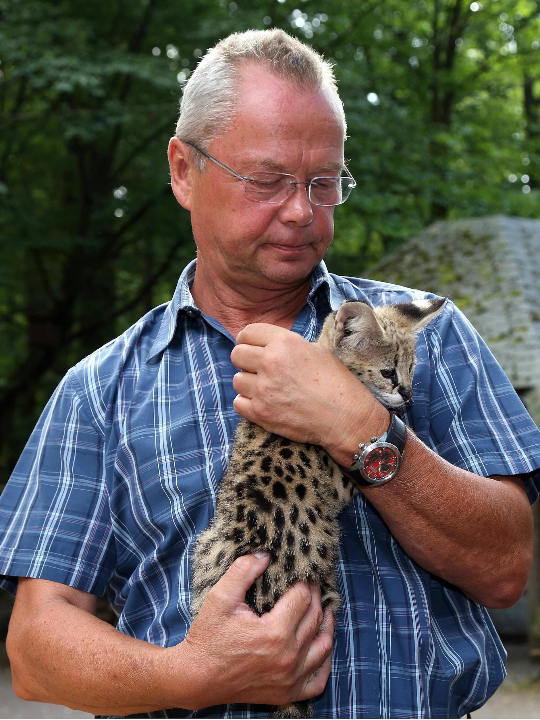 Bernd Hensch mit einem jungen Serval. Raubkatzen haben es ihm besonders angetan.