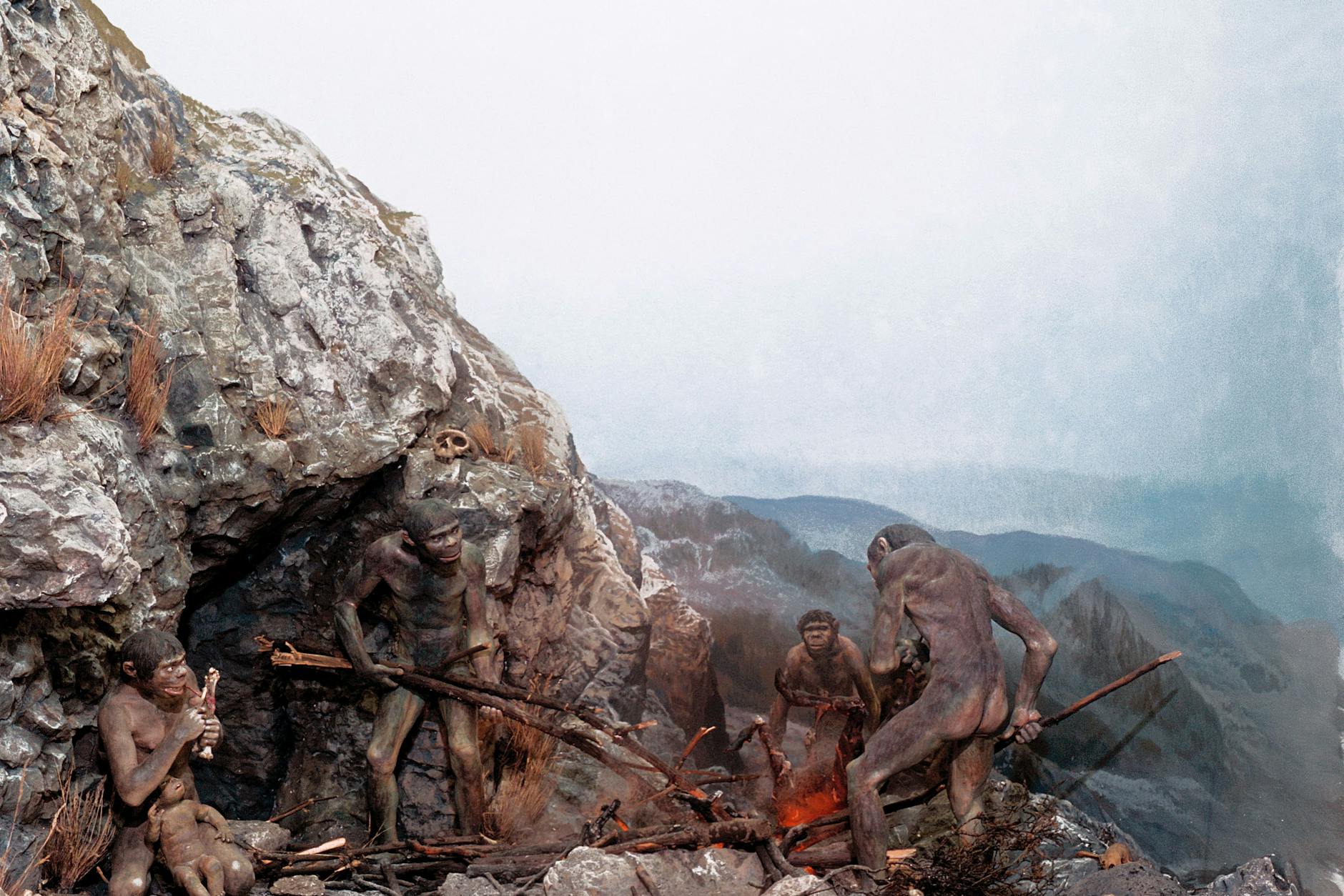 Urmenschen am Feuer, Diorama Vor- und Fruehgeschichte: Eiszeit. - Urmenschen am Feuer (Zeit des Neander- talers, letzte Zwischeneiszeit, 70000 - 40000 v. Chr.). - Diorama. Hannover, Niedersaechsisches Landesmuseum
