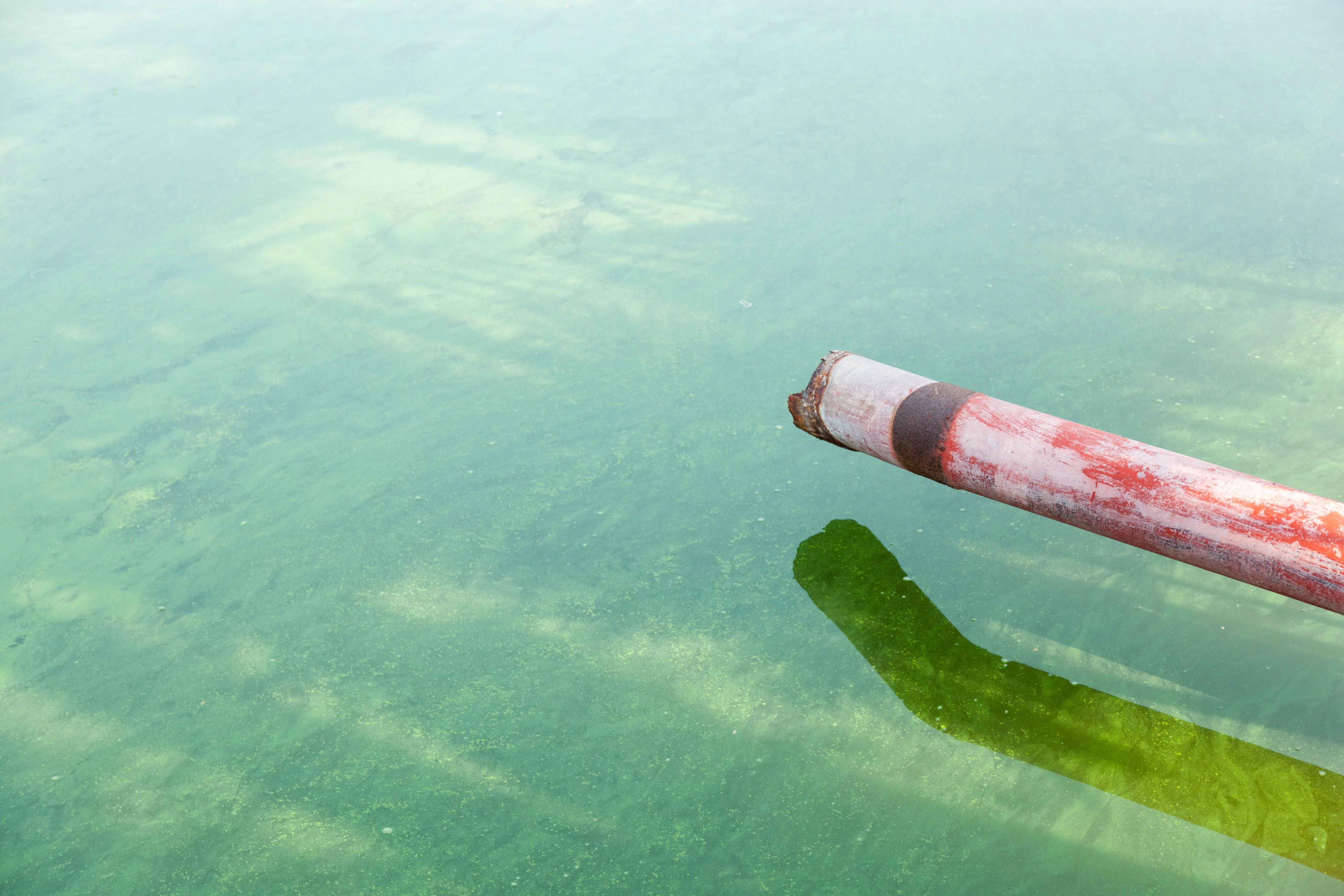 Ein Abwasserrohr. Proben des Abwassers werden im Labor auf aktuelle Viren getestet.