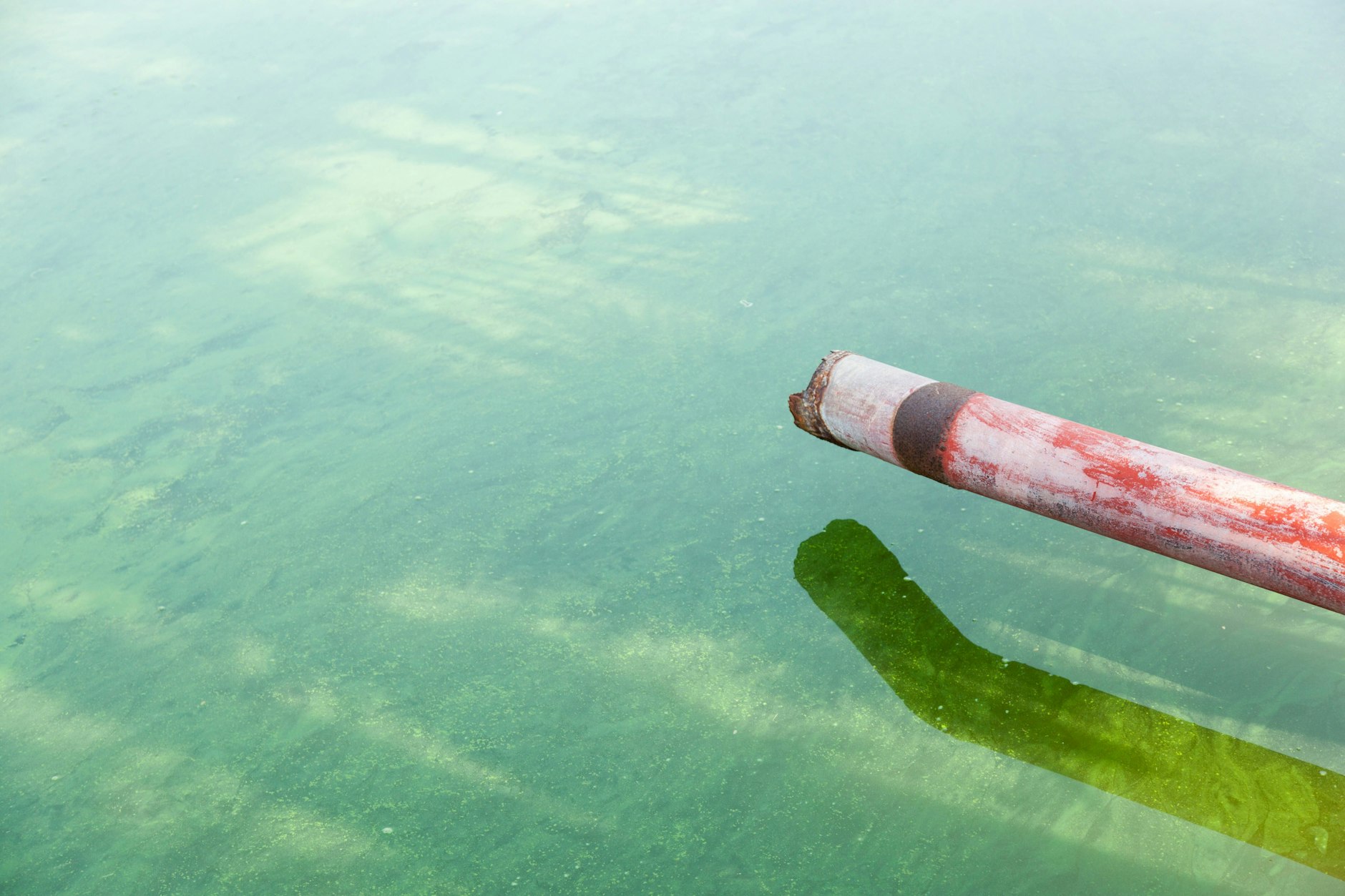 Ein Abwasserrohr. Proben des Abwassers werden im Labor auf aktuelle Viren getestet.