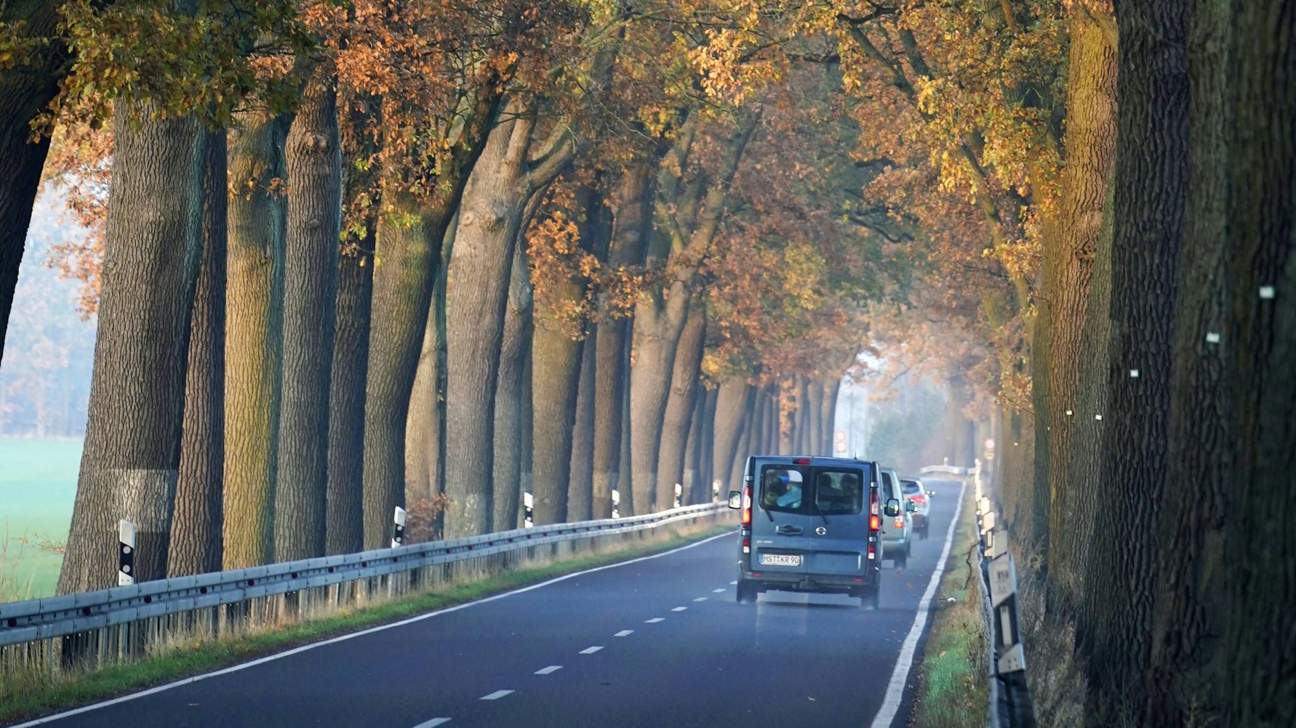 Wie hier in Brandenburg sollen Leitplanken Autofahrer schützen.