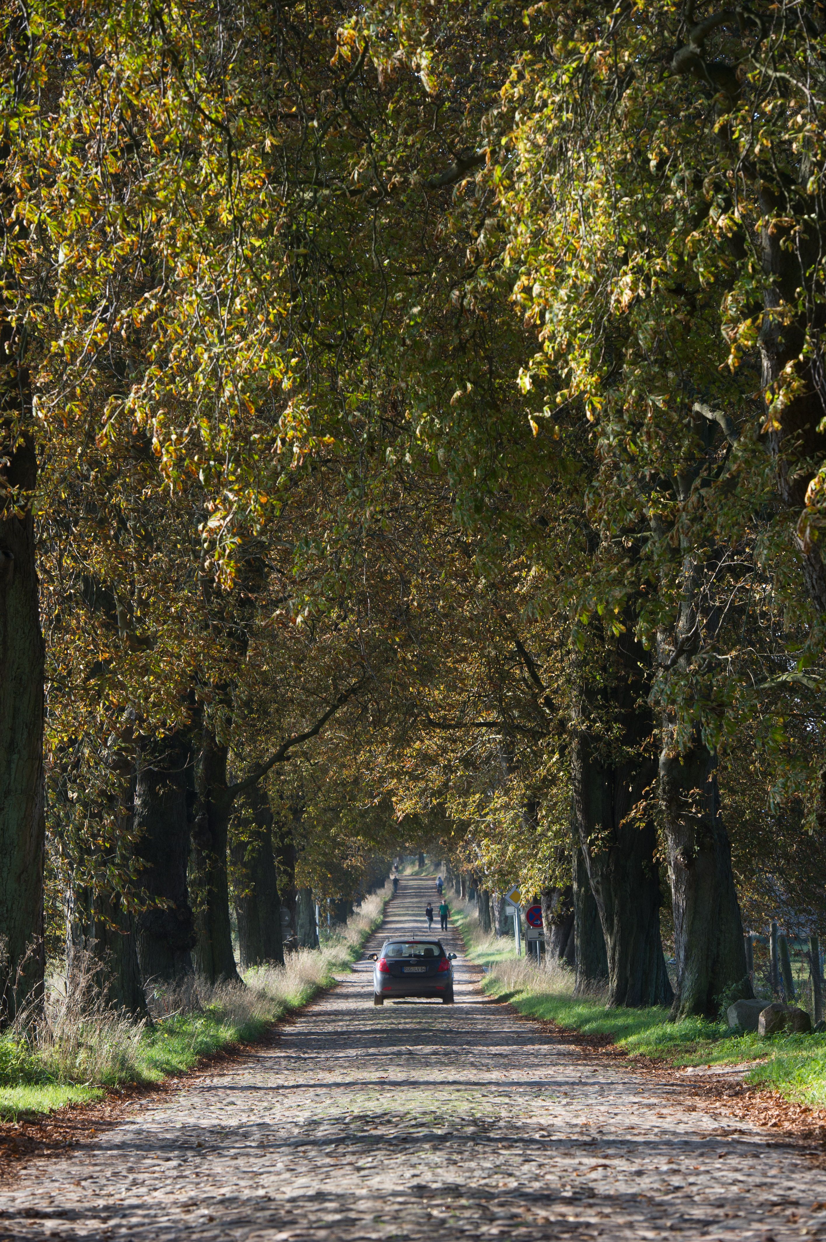 Image - Alleen in Deutschland: Geschätzt und doch bedroht