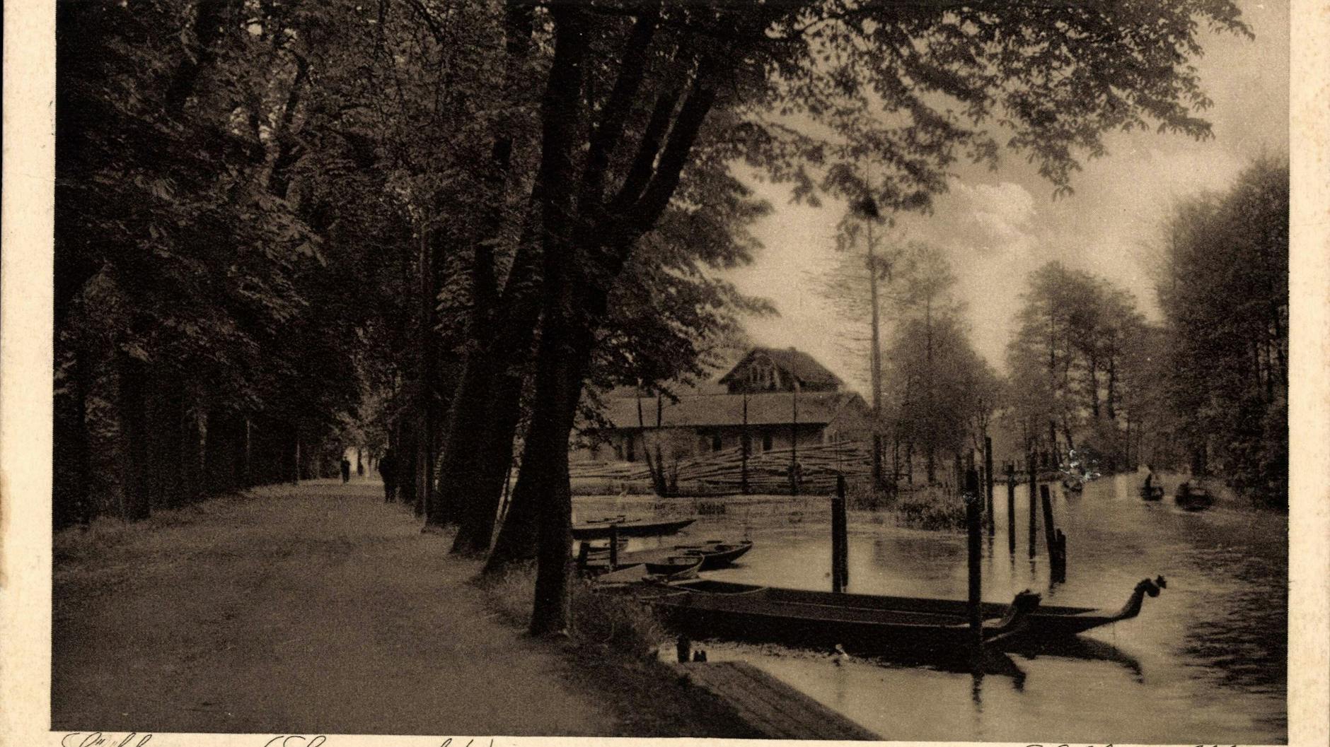 Eine Allee im Brandenburgischen Lübbenau in den 1930er Jahren.