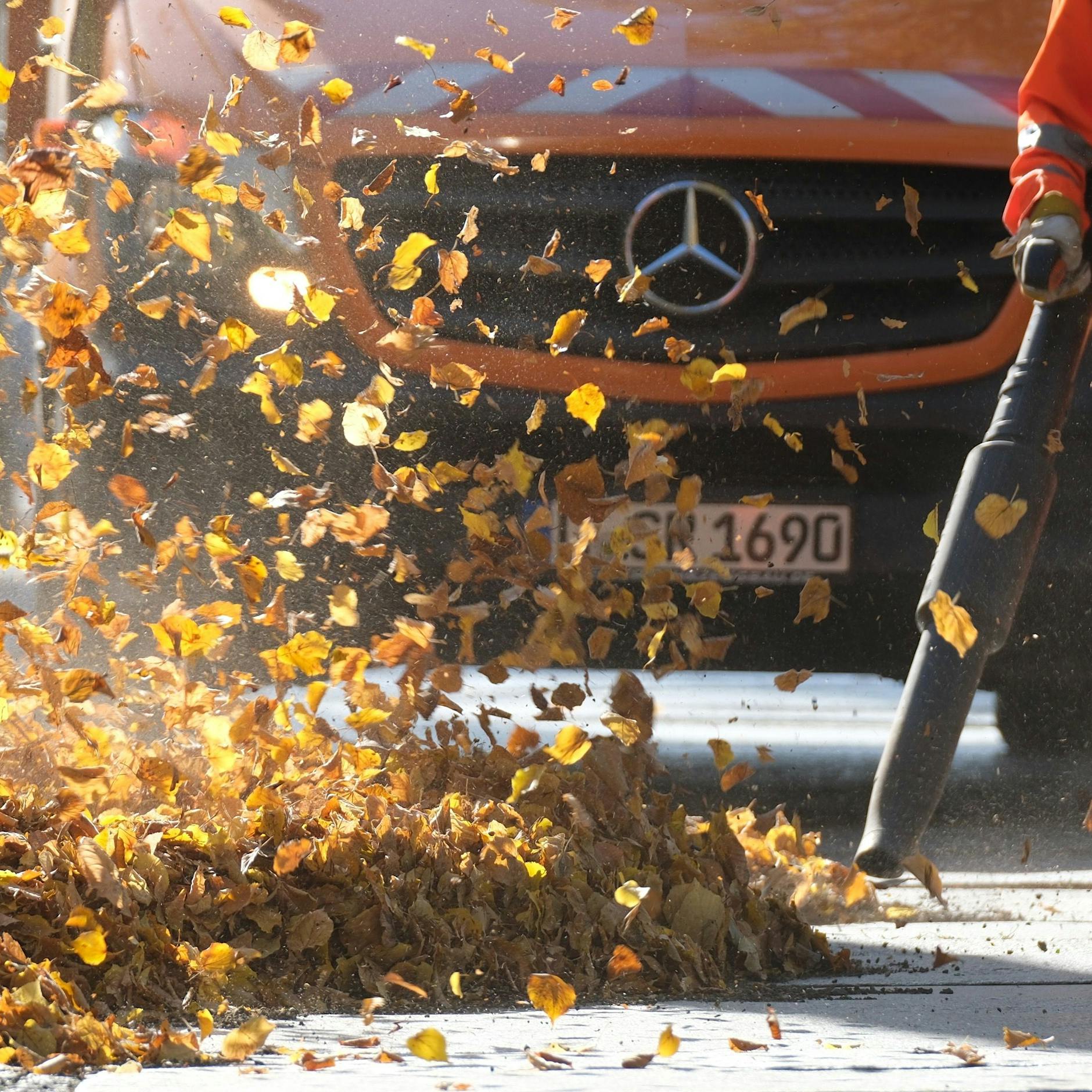 Streitthema Laubbläser: Berliner Senat setzt auf Elektroantrieb für weniger Lärmbelastung